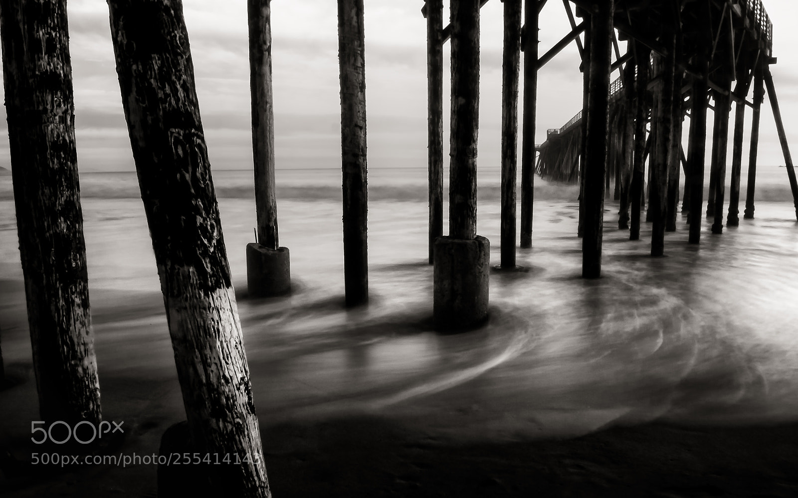 Nikon D300 sample photo. Sea legs photography