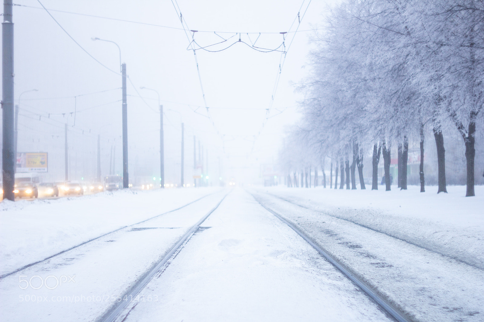 Canon EOS 60D sample photo. Into the fog photography