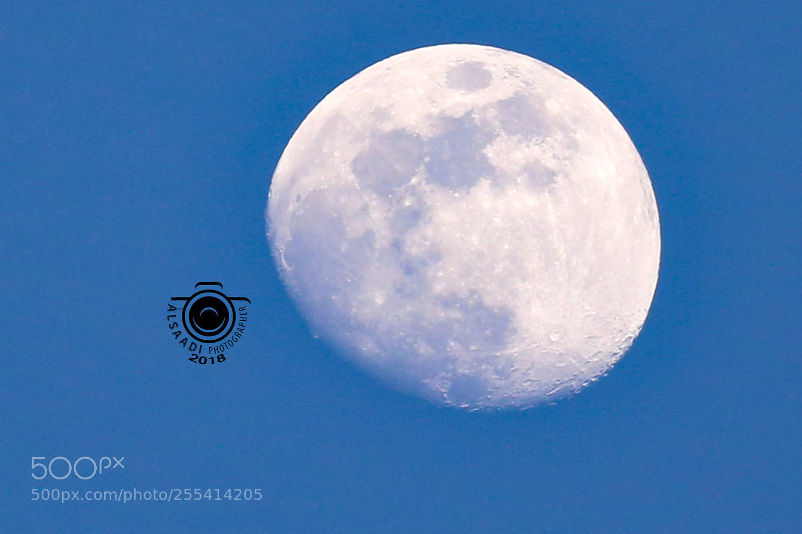 Canon EOS 6D sample photo. Untitled photography