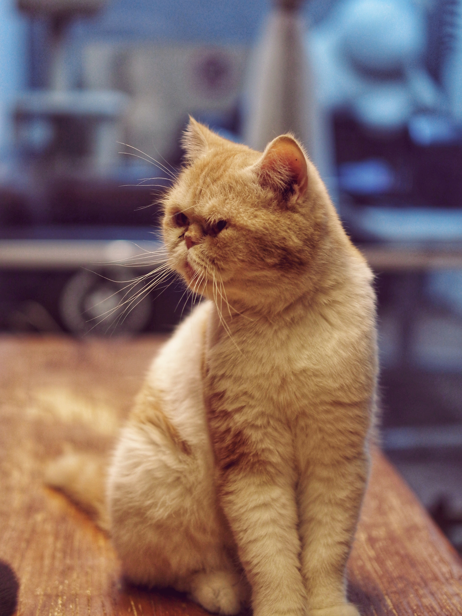 YI TECHNOLOGY M1 sample photo. Big face photography