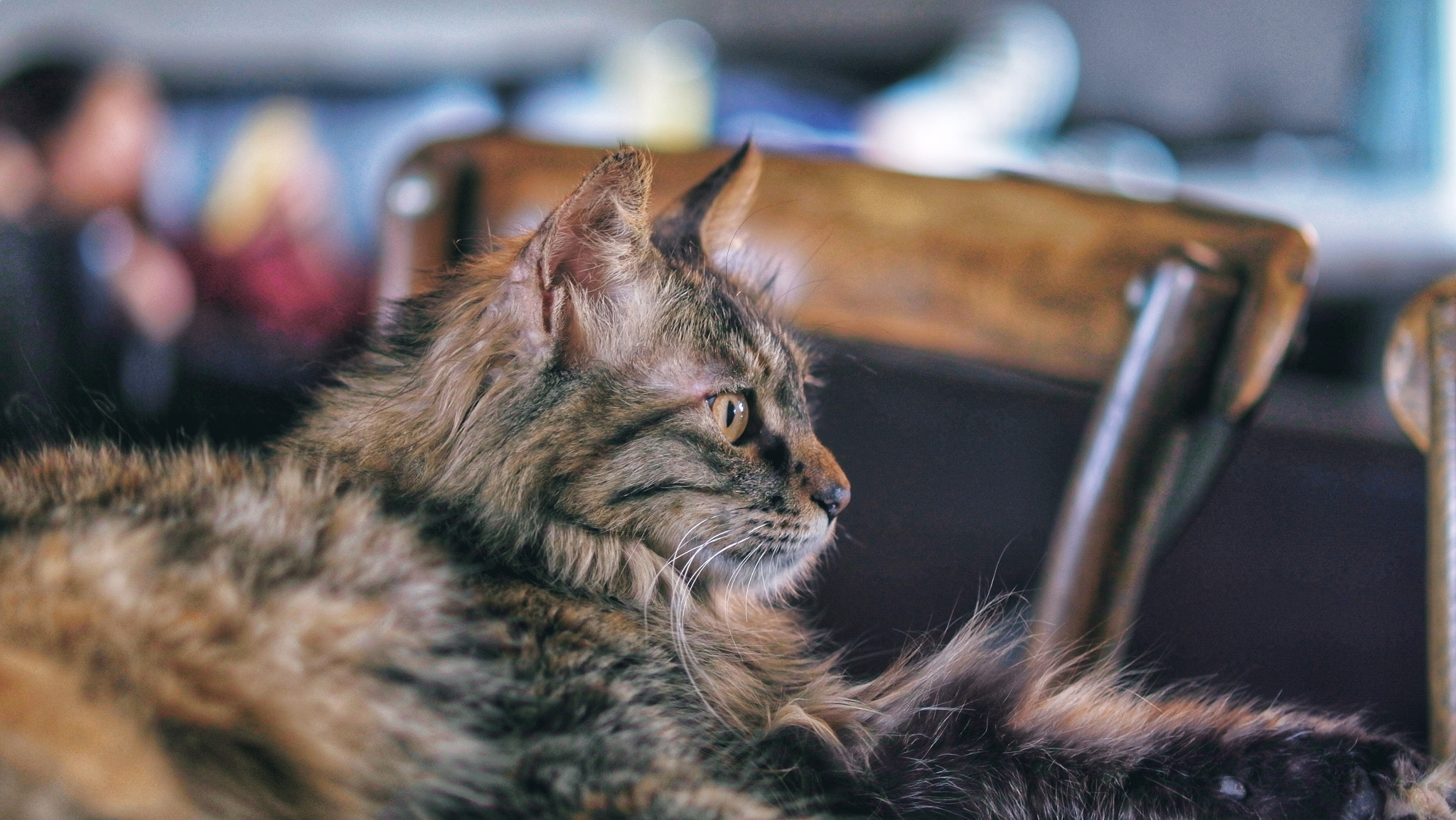 YI TECHNOLOGY M1 sample photo. Huba photography