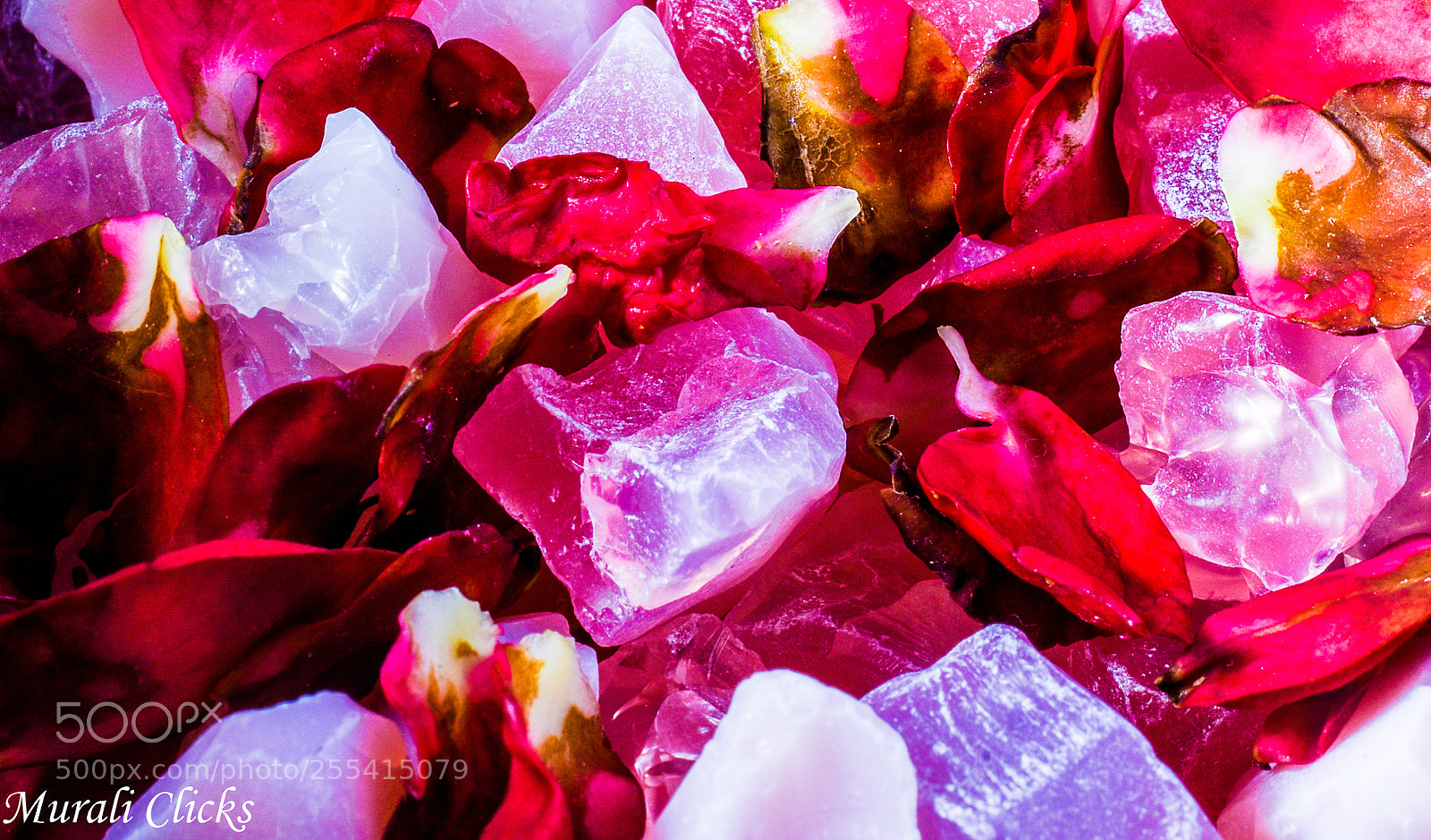 Nikon D7200 sample photo. Untitled photography
