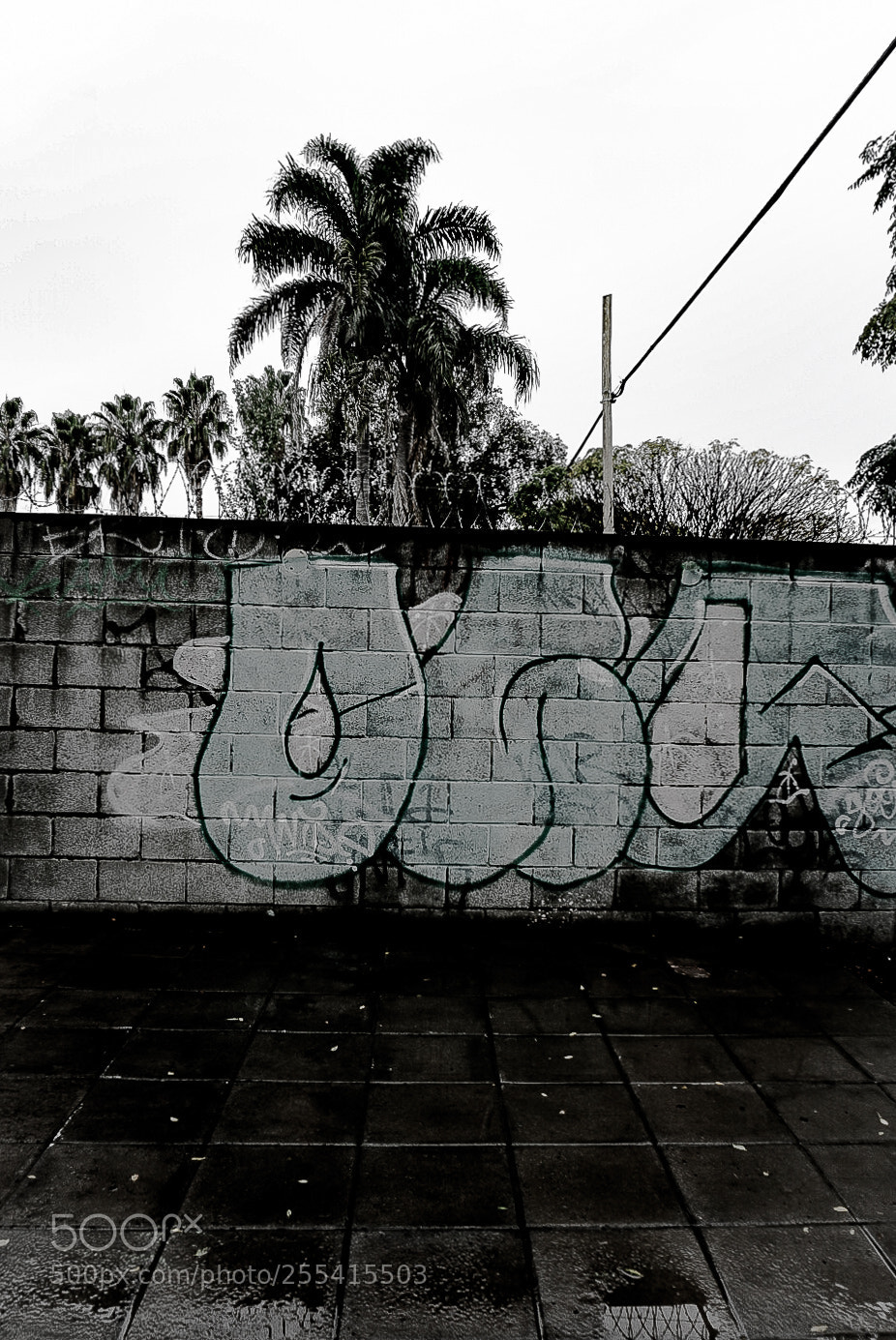 Sony a6000 sample photo. Untitled photography