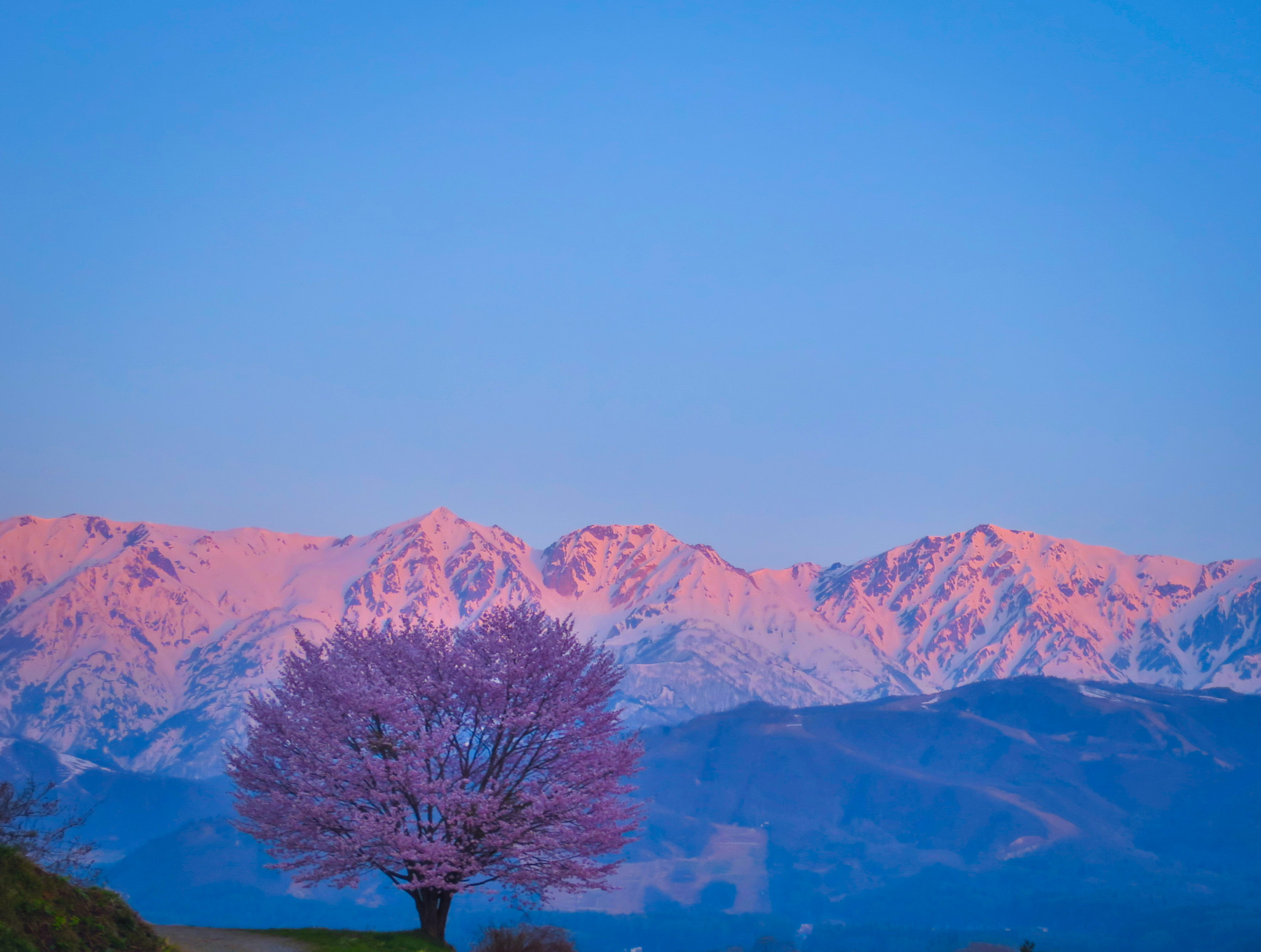 Canon PowerShot S120 sample photo. 1 cherry tree in full bloom and hakuba 3 mountains photography