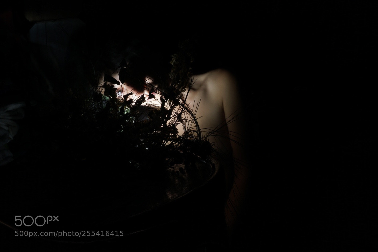 Sony a6000 sample photo. Nightandlight photography