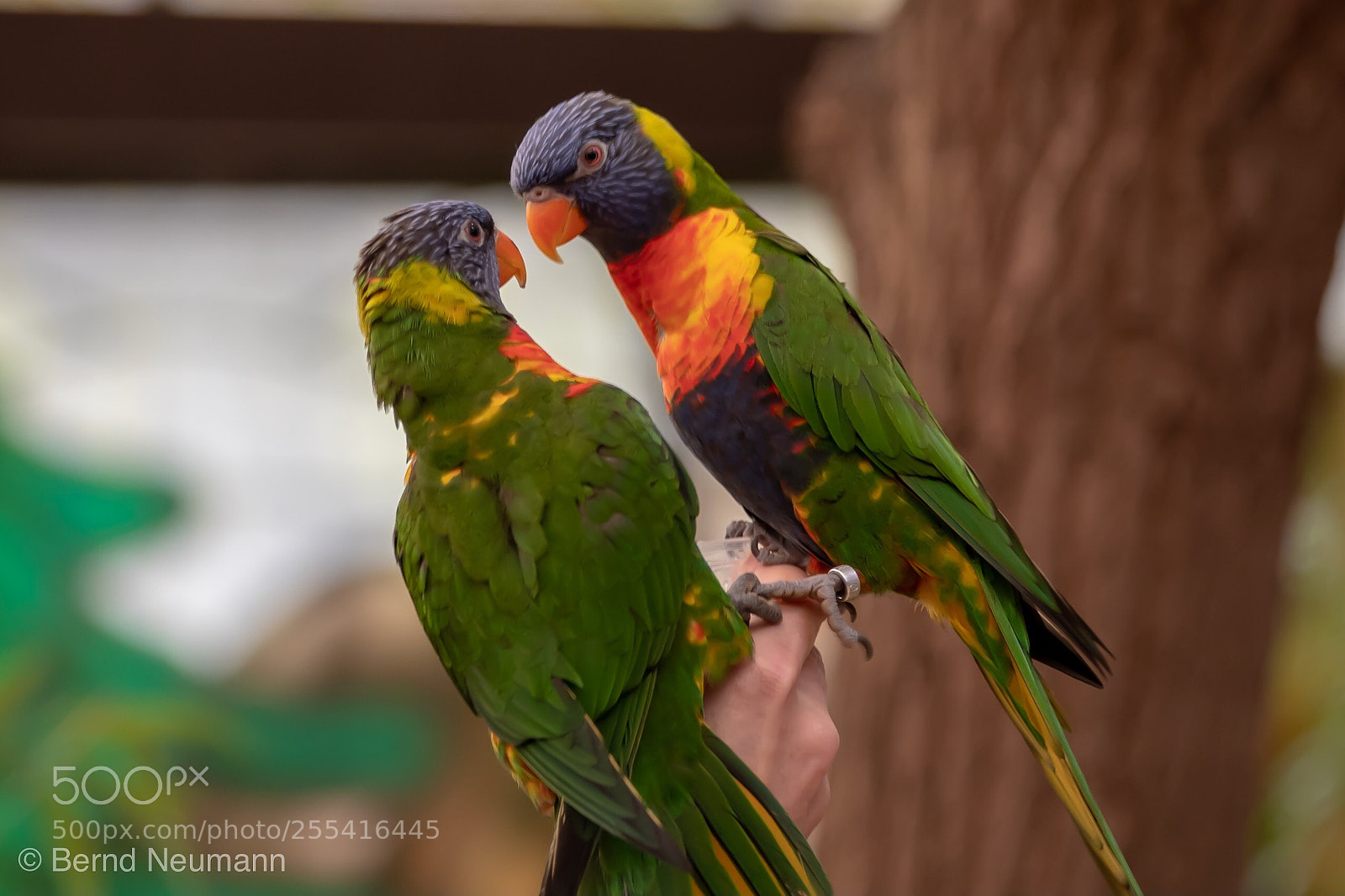 Nikon D7500 sample photo. Hello photography