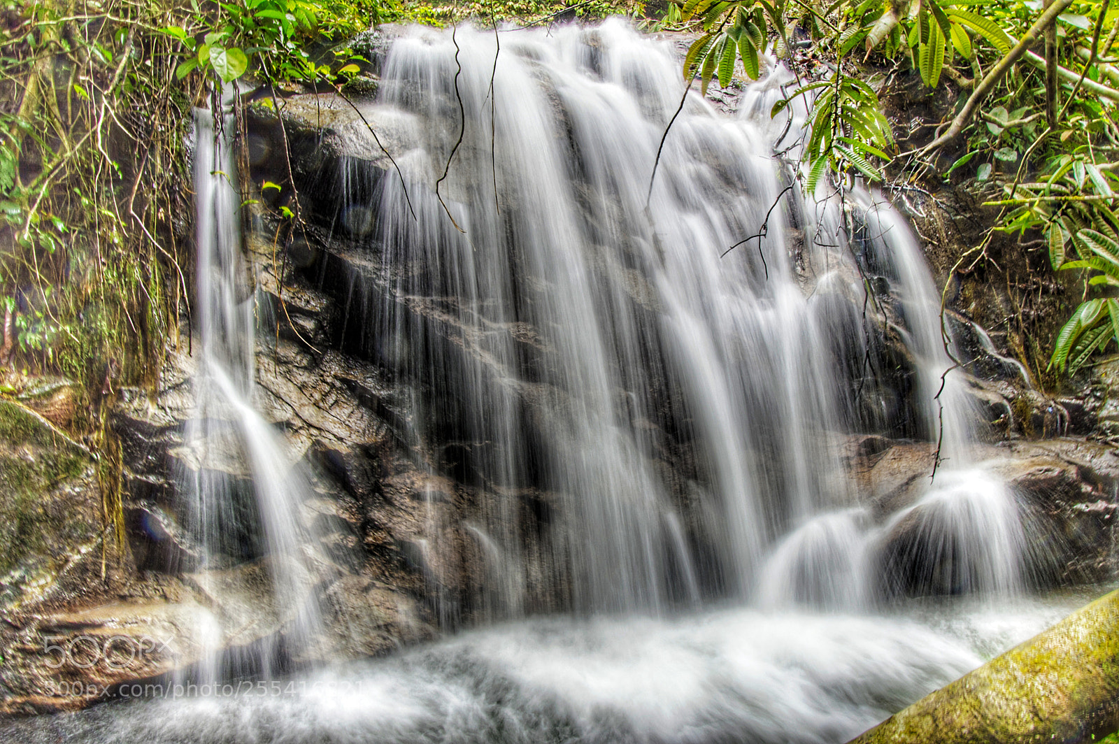 Nikon D3200 sample photo. Small fall photography