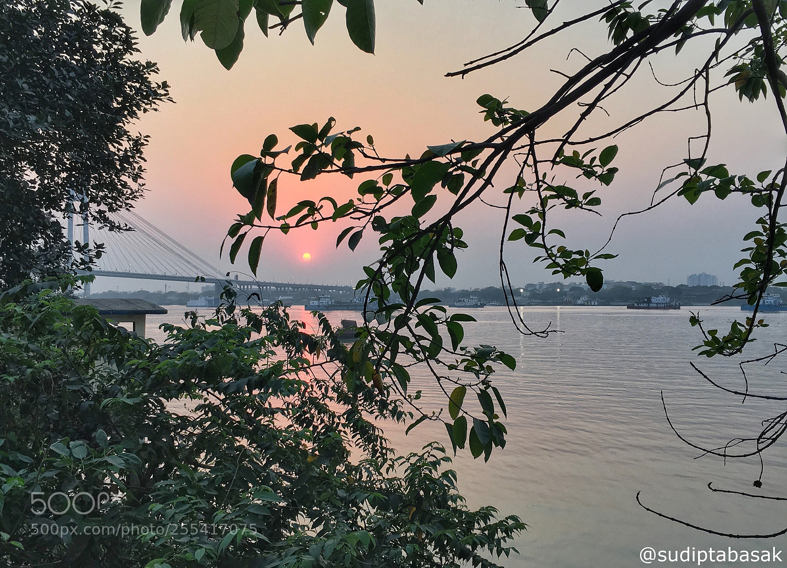 Apple iPhone 6s sample photo. S u n s photography