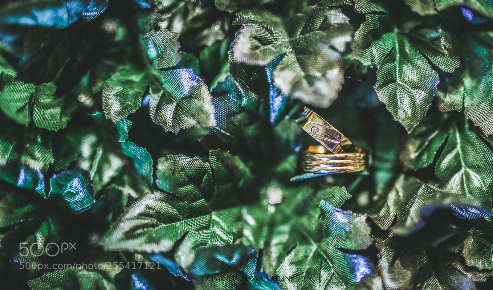 Canon EOS 5D Mark IV sample photo. A photography