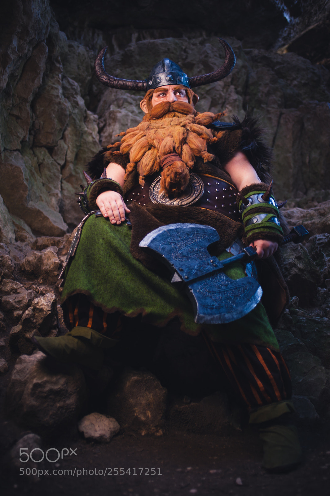 Nikon D700 sample photo. Stoick - httyd2 photography