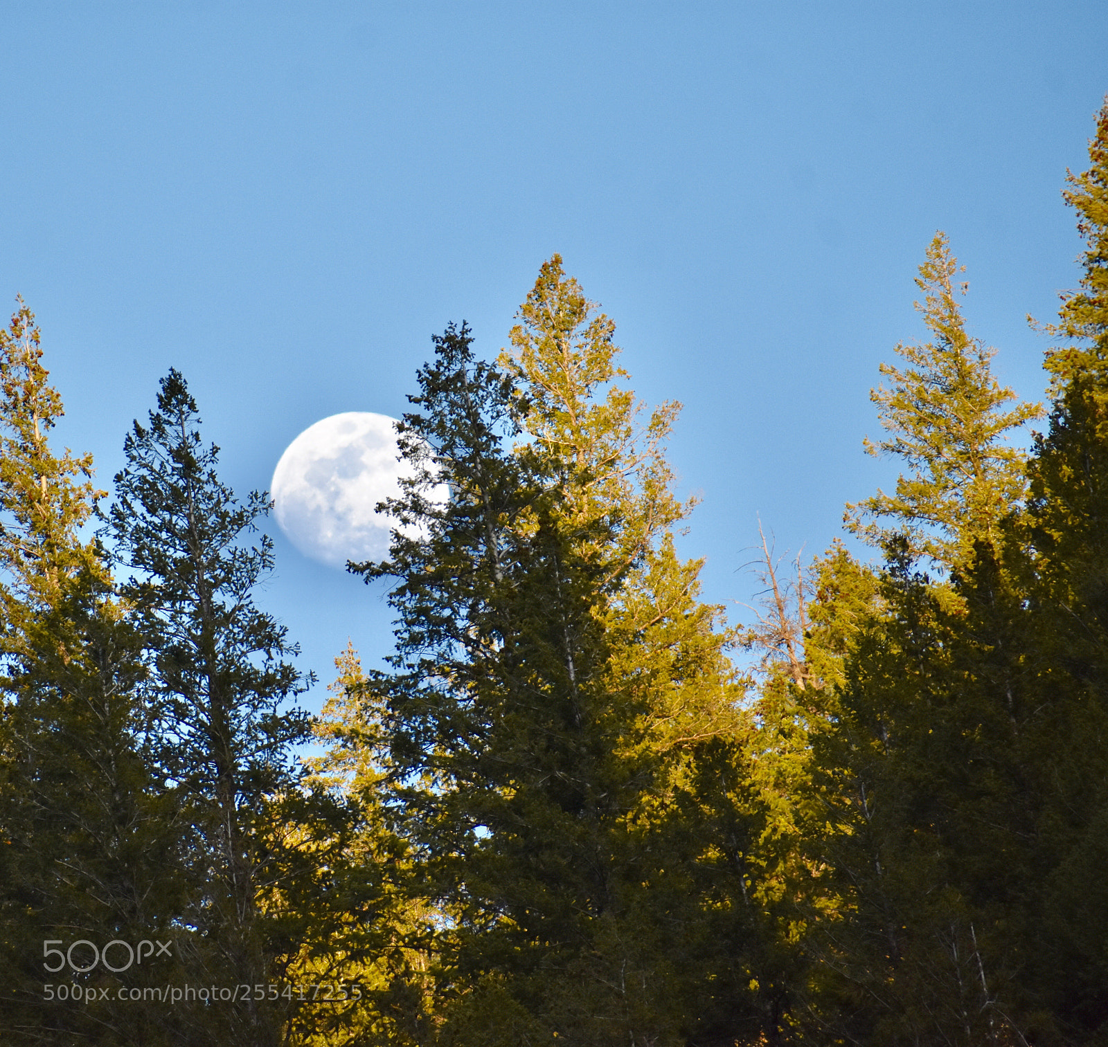 Nikon D3400 sample photo. Moon over the fryingpan photography