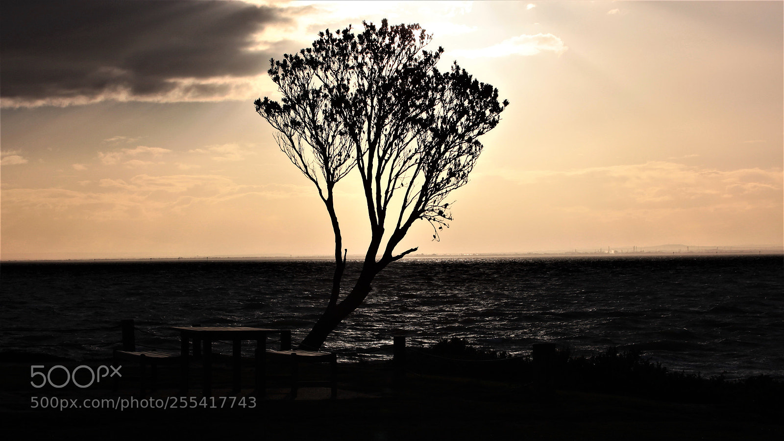 Canon EOS 600D (Rebel EOS T3i / EOS Kiss X5) sample photo. Sunset @ st kilda melbourne photography
