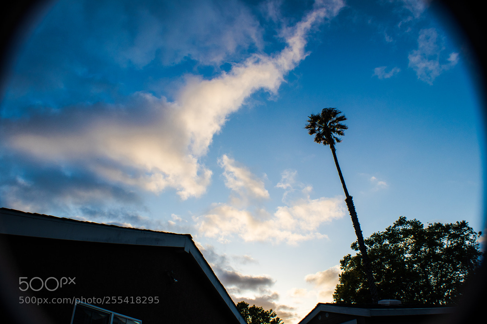 Canon EOS 80D sample photo. Chilling dusk photography
