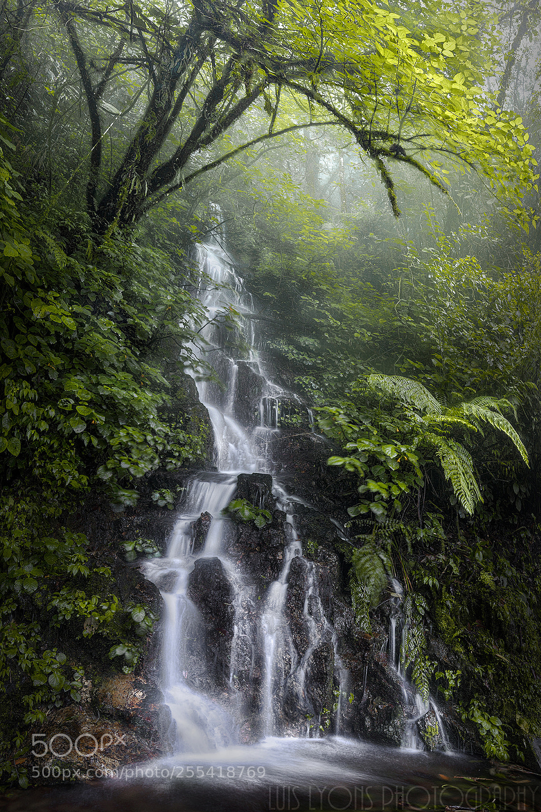 Nikon D5100 sample photo. Sierra de juarez waterfall photography