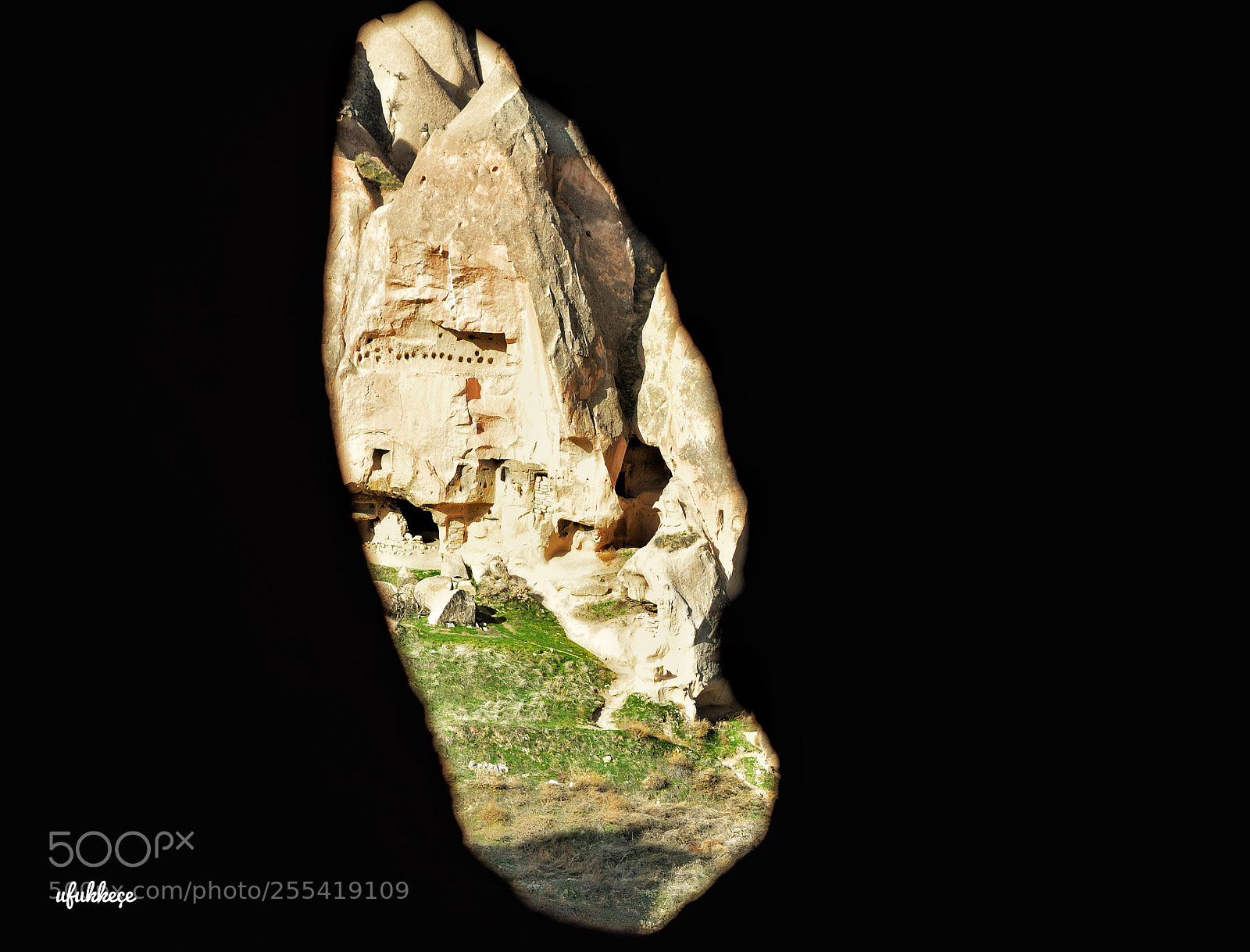 Nikon D5200 sample photo. Untitled photography