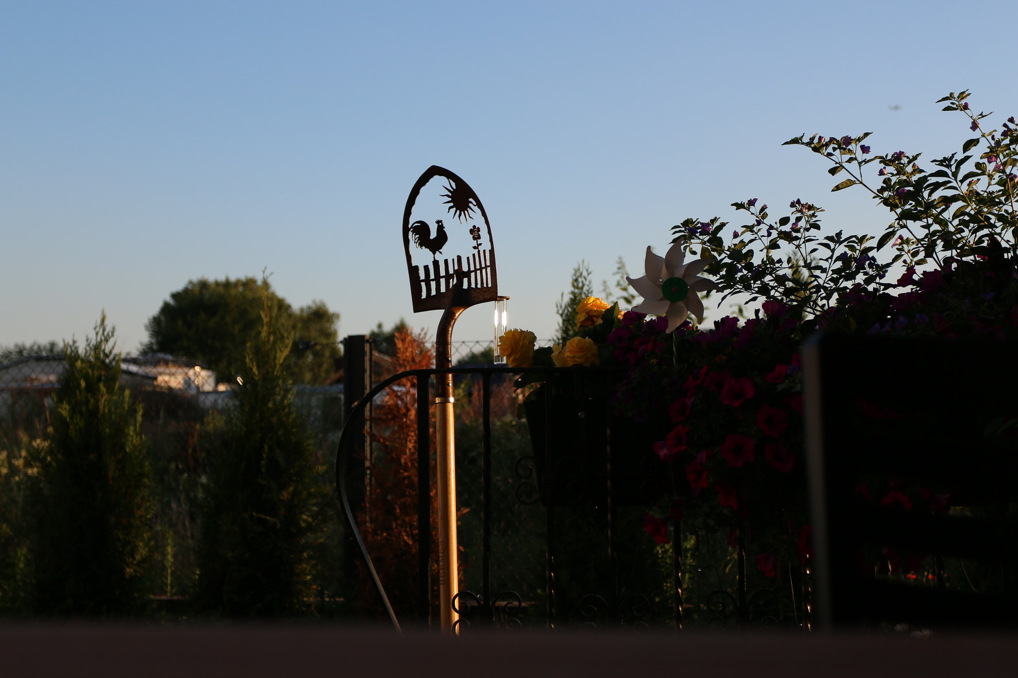 Canon EOS 70D + Canon EF 17-40mm F4L USM sample photo. Endlich sommer photography