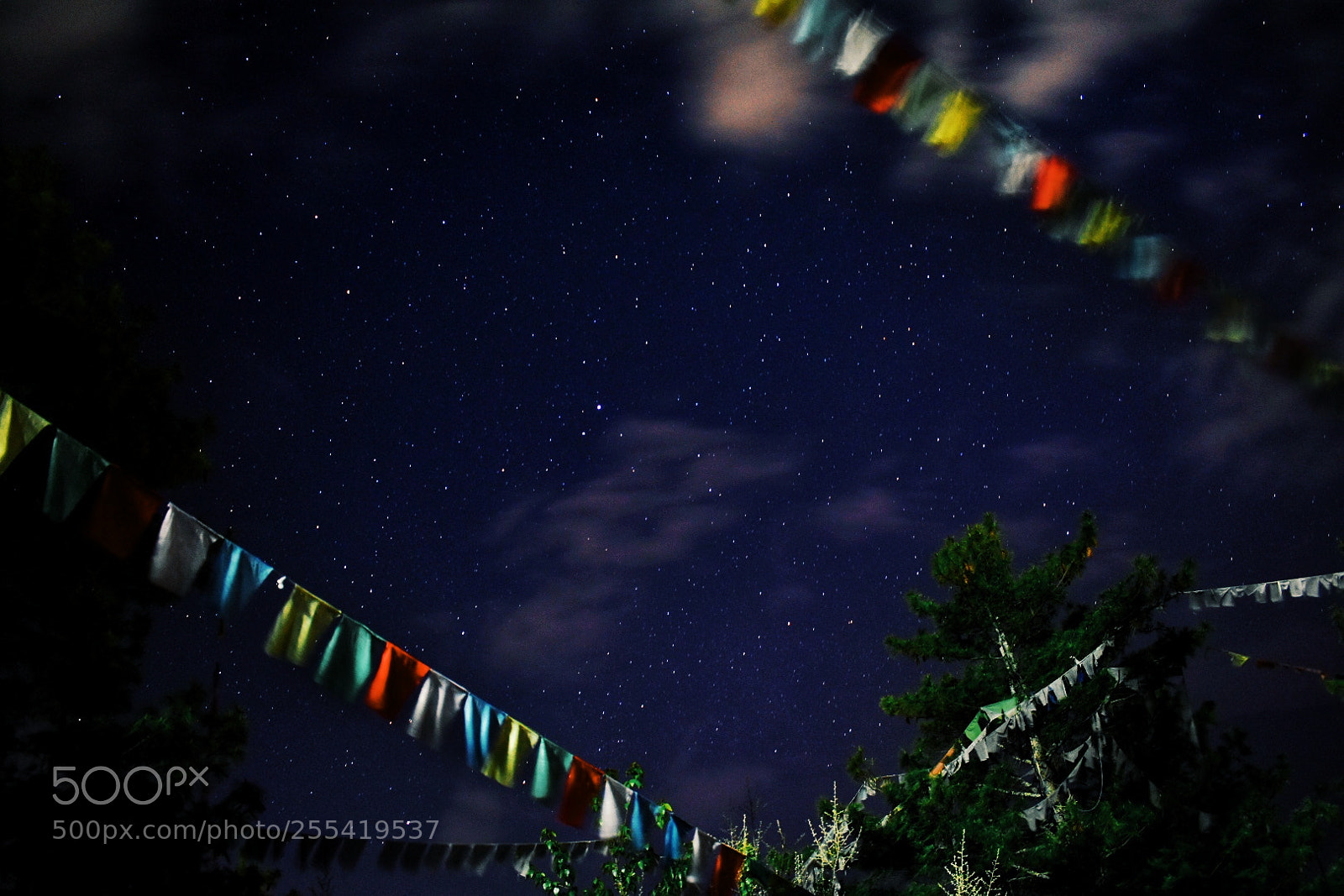 Nikon D3400 sample photo. Star gazing photography