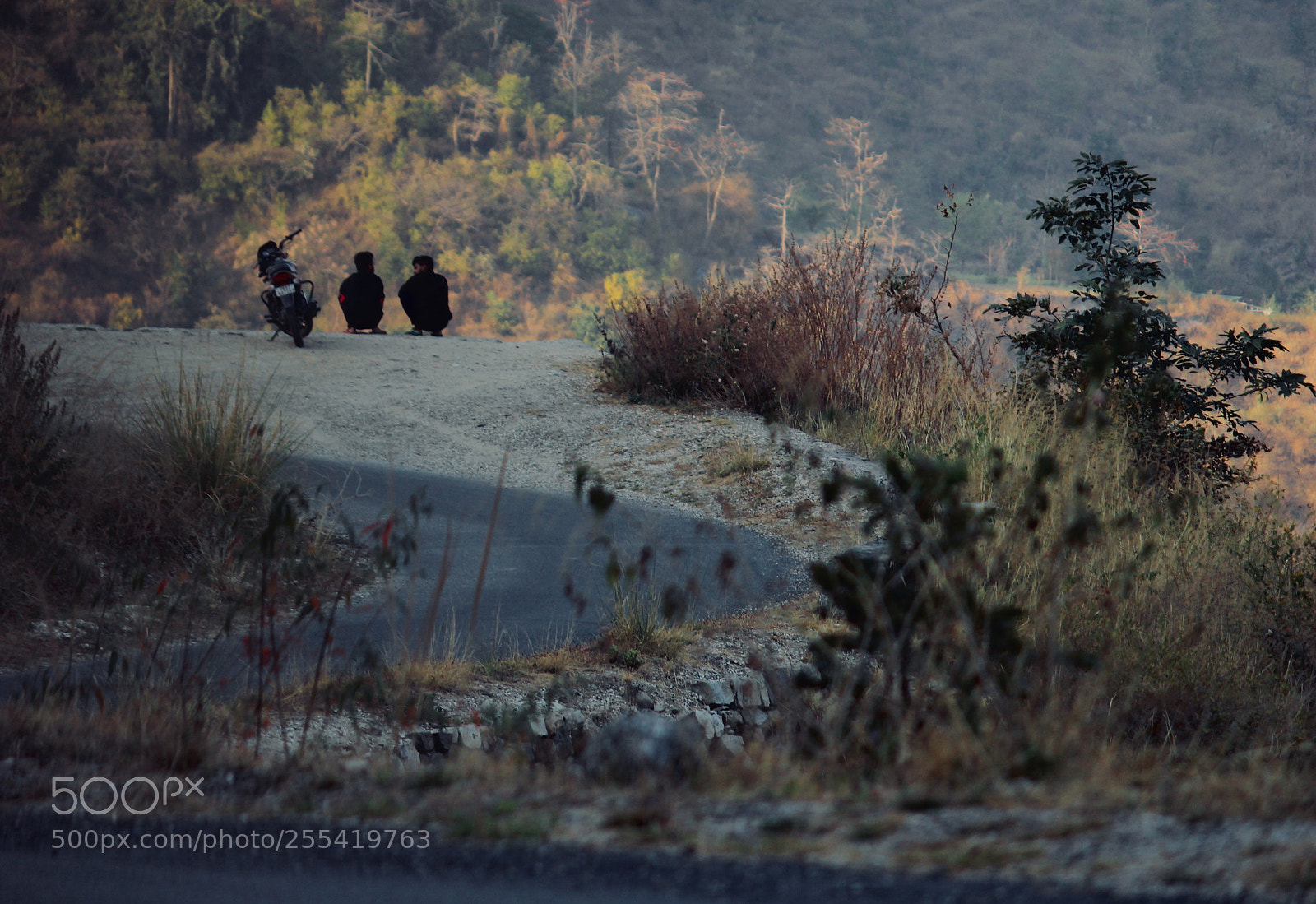 Canon EOS 700D (EOS Rebel T5i / EOS Kiss X7i) sample photo. “the secret discussion” photography
