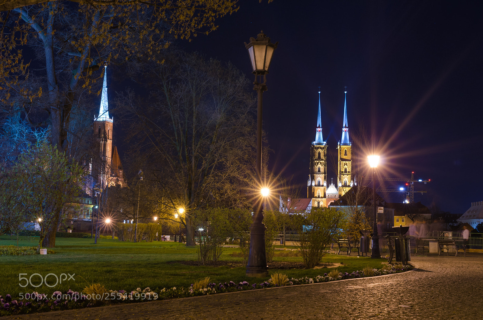 Nikon D5100 sample photo. Wroclaw night park photography