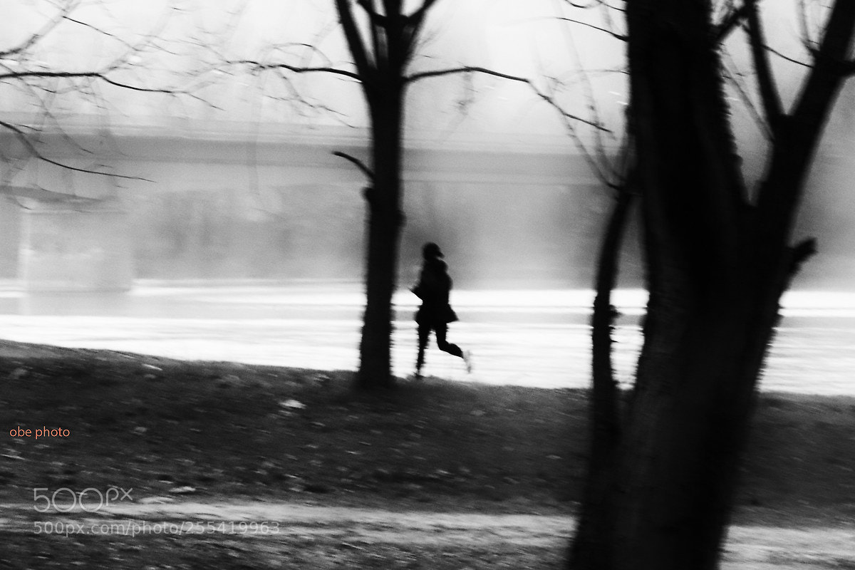 Canon EOS 80D sample photo. Untitled photography