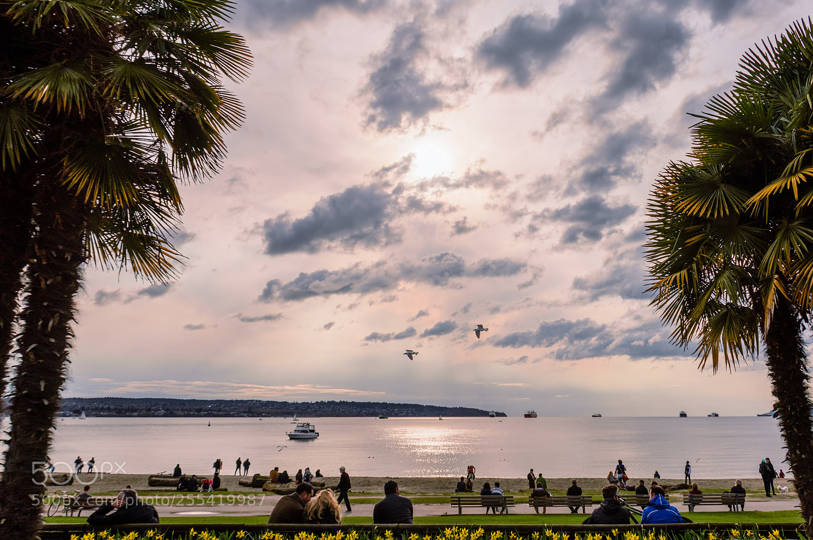 Nikon D810 sample photo. Spring evening on english photography