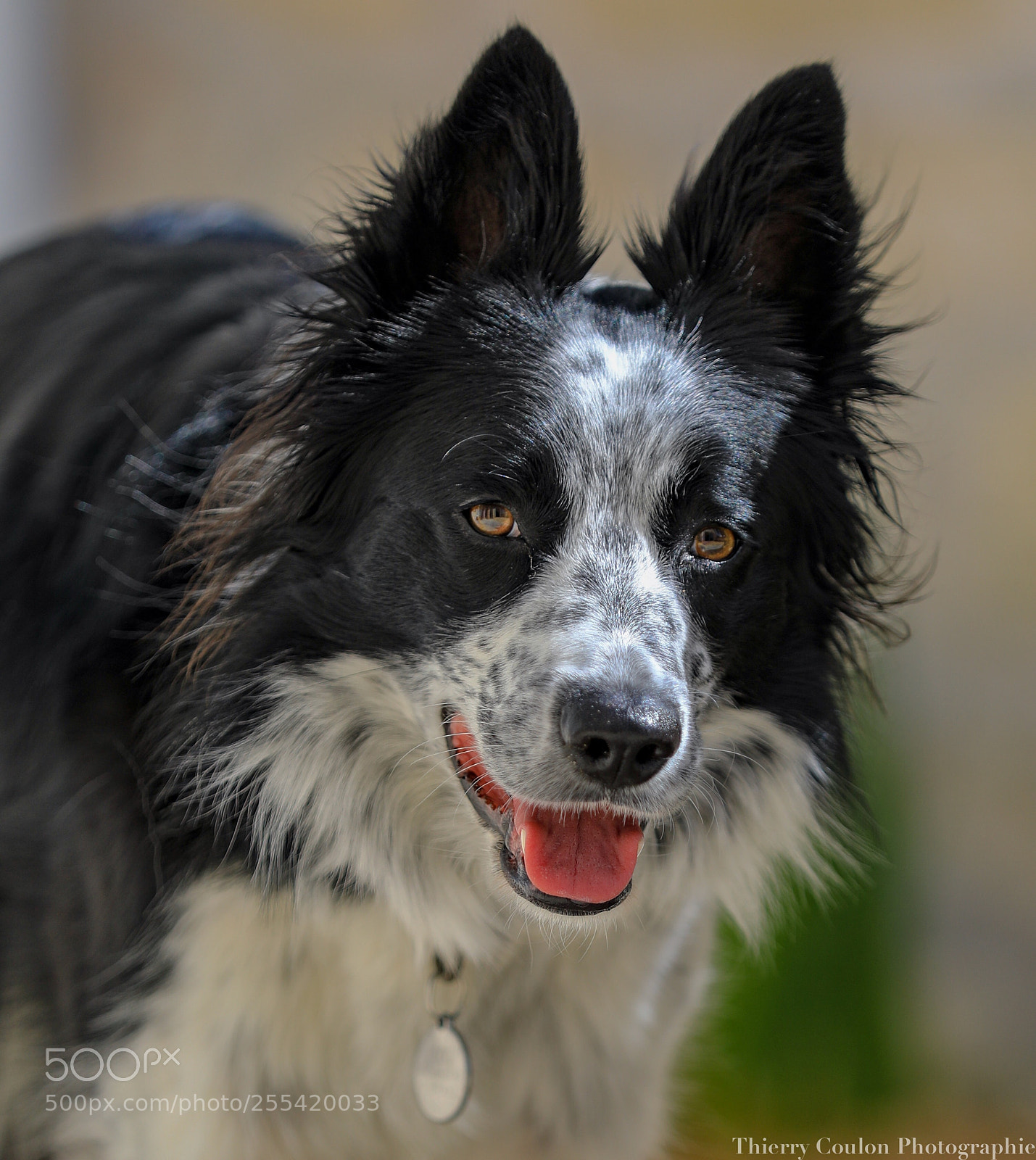 Canon EOS 5D Mark IV sample photo. Madame lilou photography