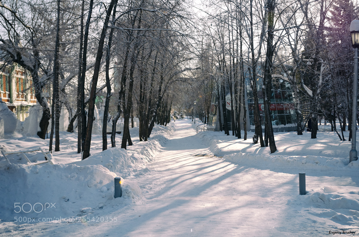 Nikon D7000 sample photo. Первомайский сквер photography