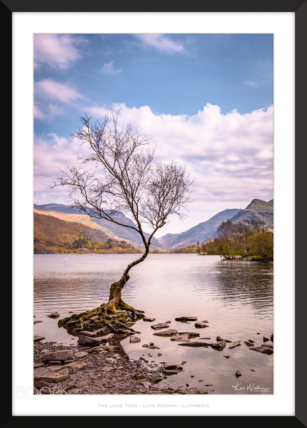 Fujifilm X-T2 sample photo. The lone tree photography
