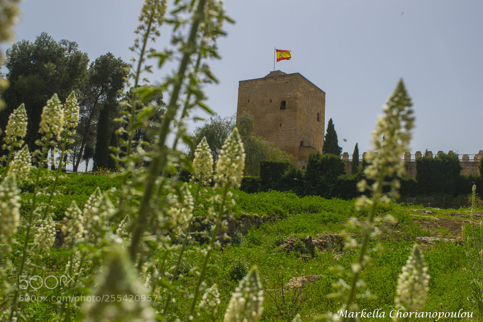 Nikon D3300 sample photo. Alhambra - vol.2 photography