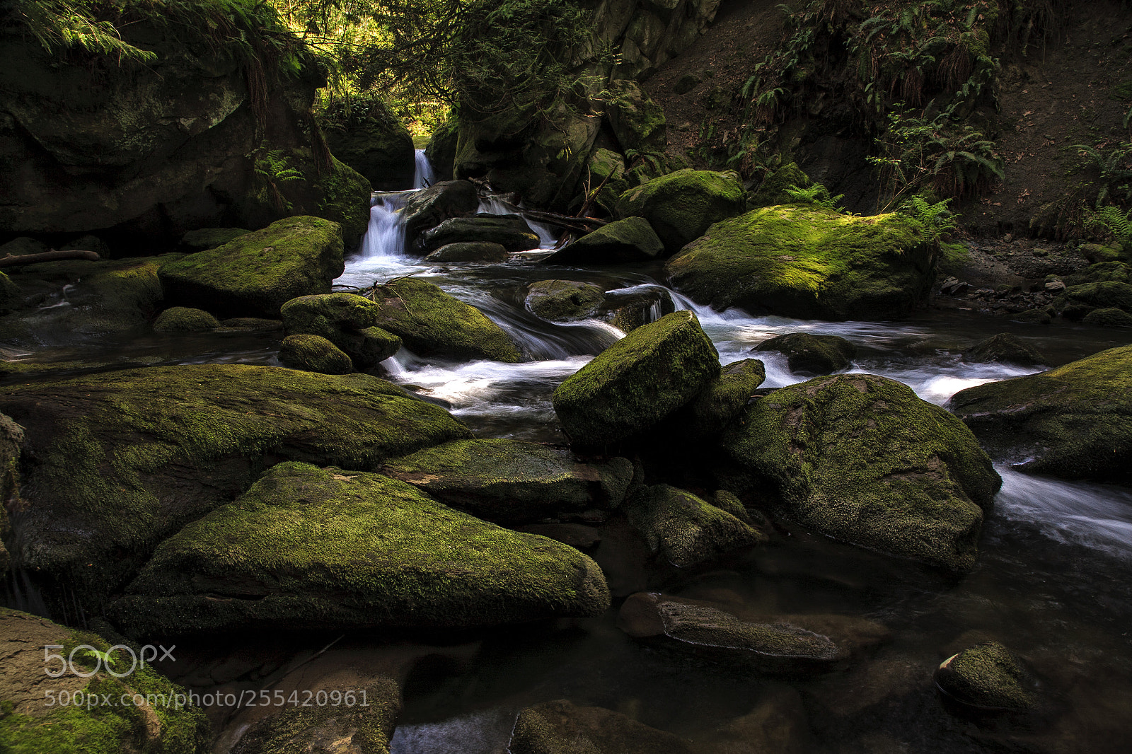 Canon EOS 5D sample photo. Whatcom falls park photography