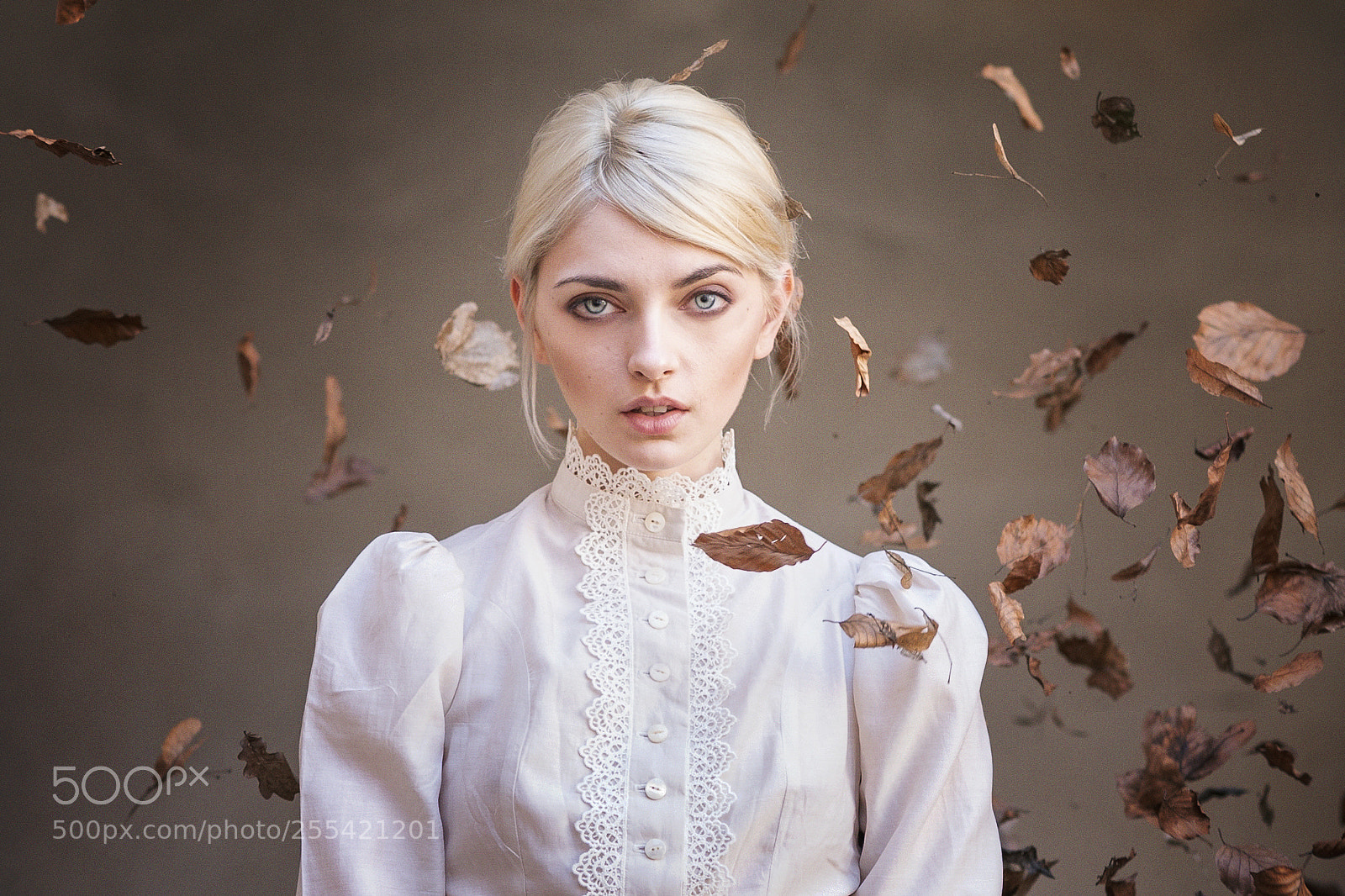 Sony a9 sample photo. Falling leaves photography