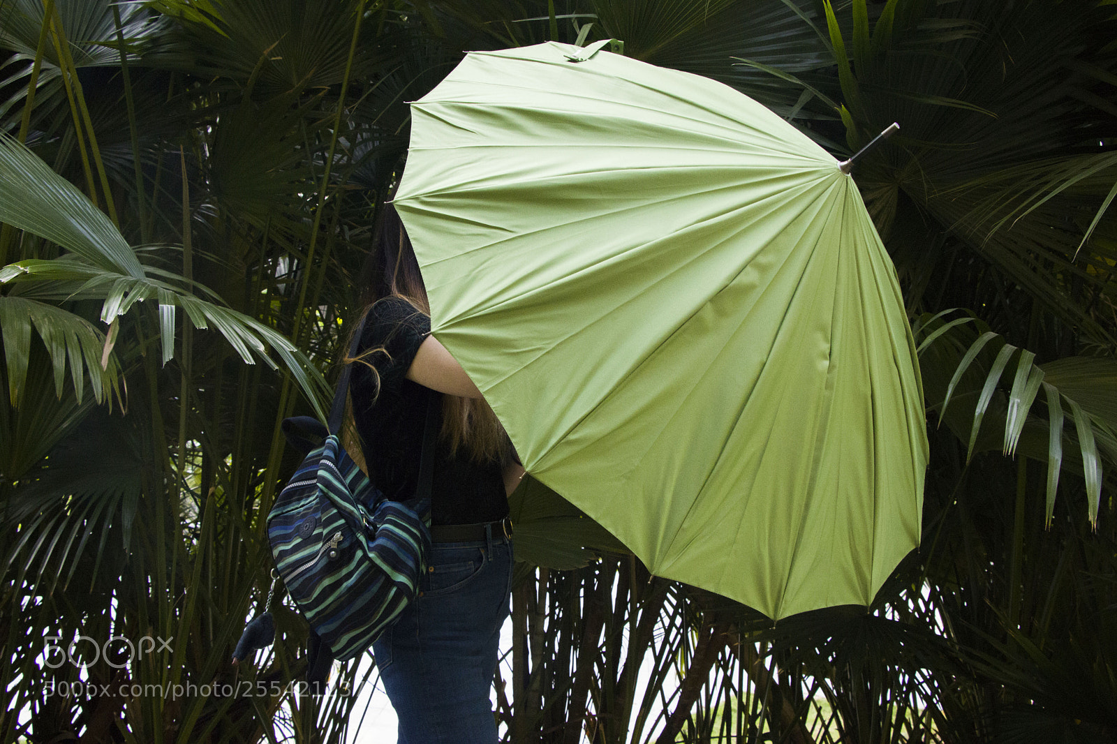 Canon EOS 77D (EOS 9000D / EOS 770D) sample photo. Nature under cover photography