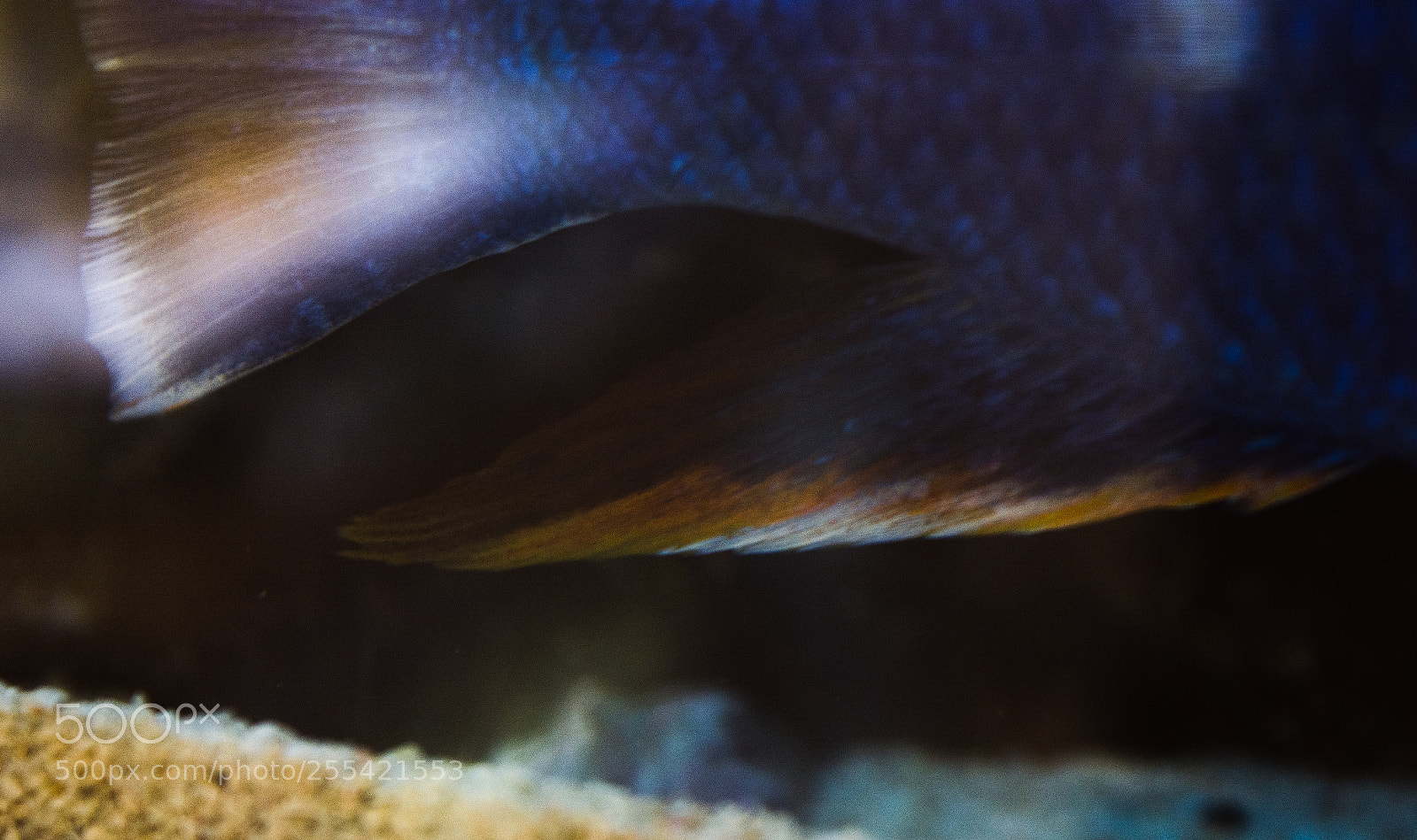 Nikon D7100 sample photo. Shallow waters photography