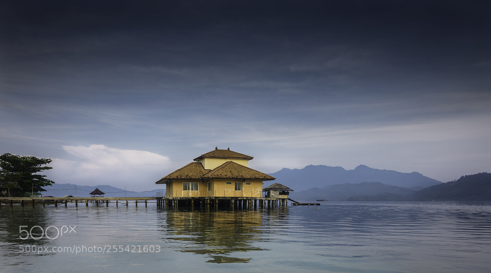 Nikon D7100 sample photo. Tanjungputus3 photography
