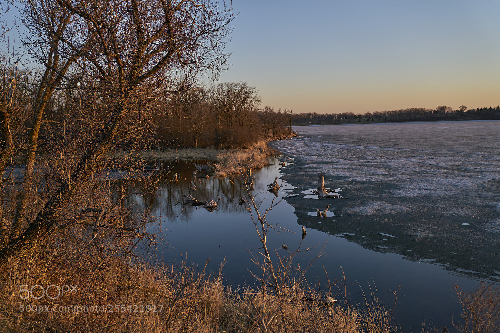 Sony a7R II sample photo. Looking out photography