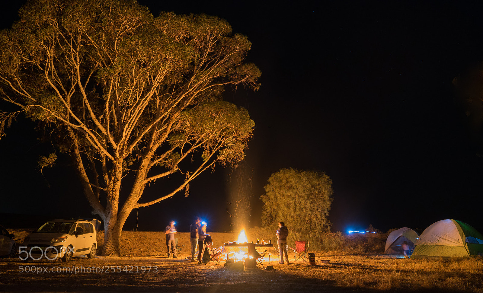 Sony a7 II sample photo. Camping 7 photography