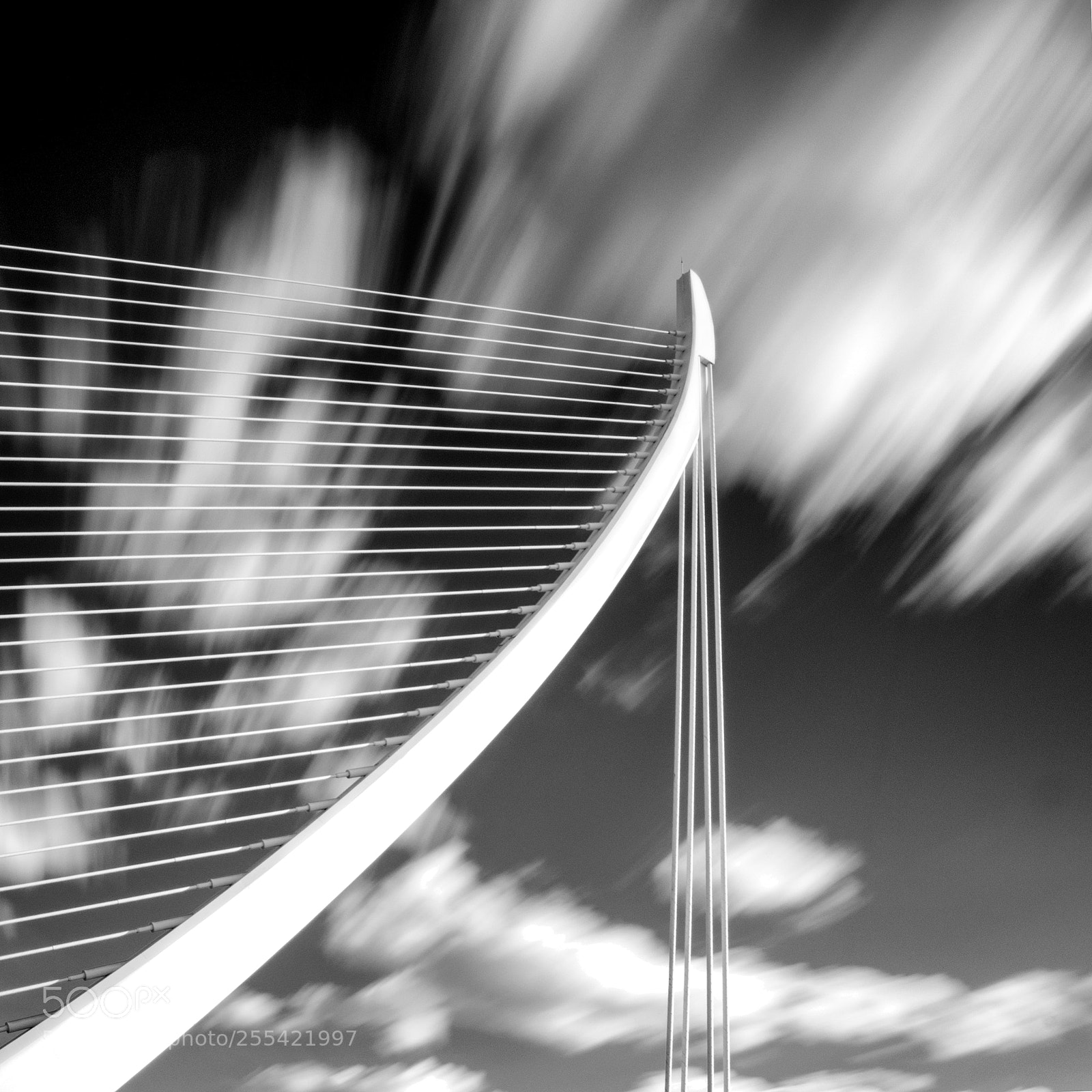 Nikon D5300 sample photo. Puente de calatrava. photography