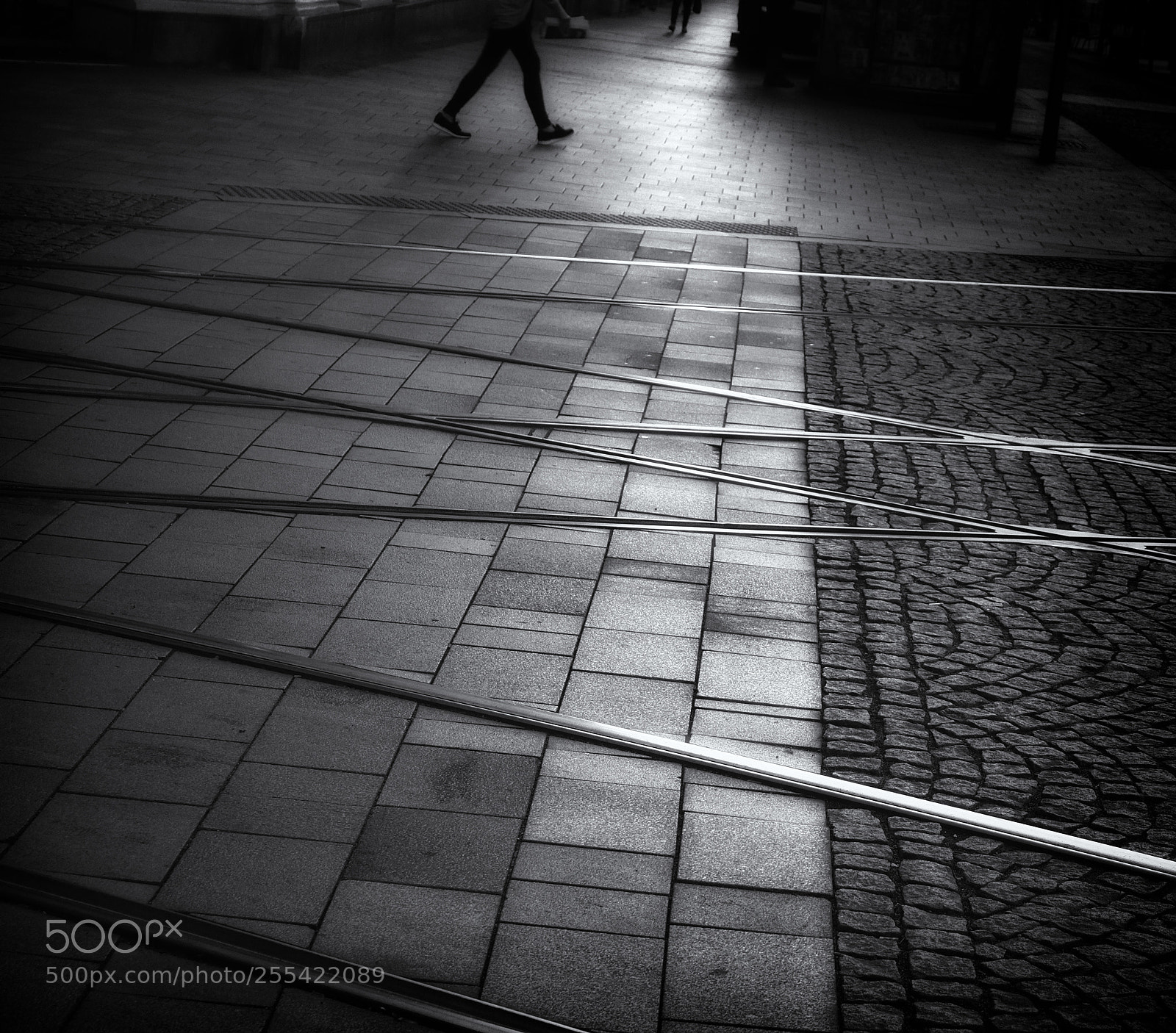 Olympus OM-D E-M10 II sample photo. ... photography
