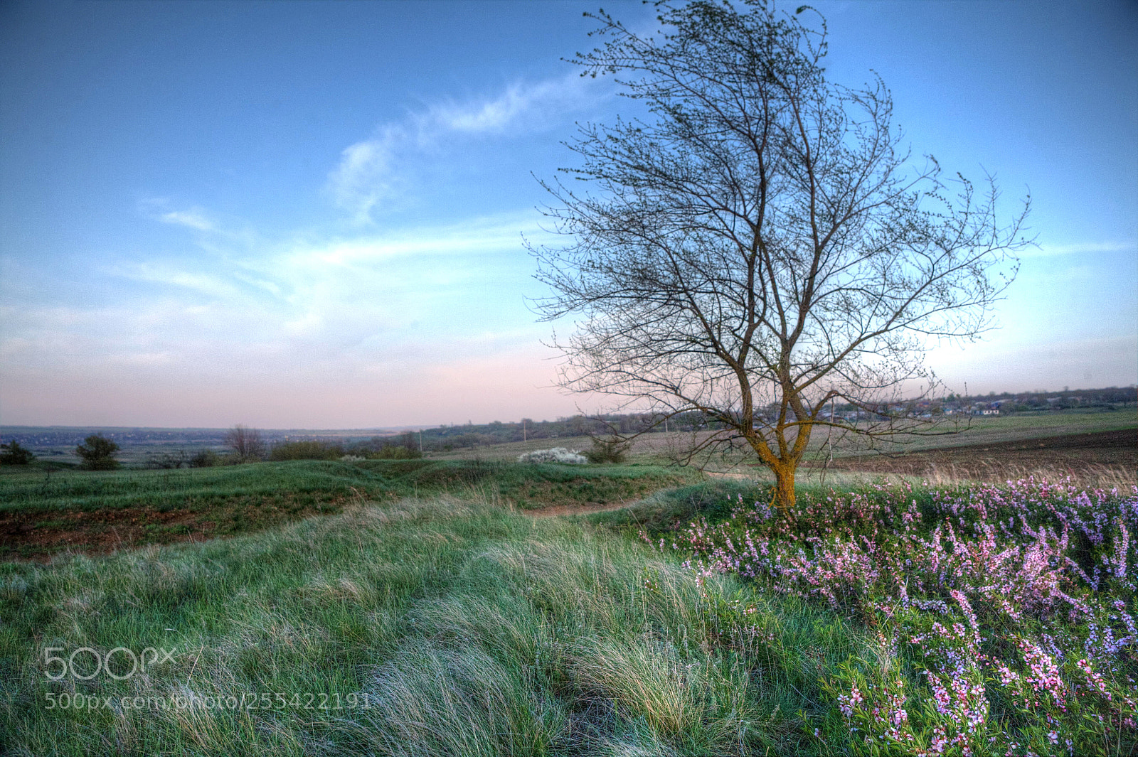Canon EOS 5D sample photo. Summer landscape with sunset photography