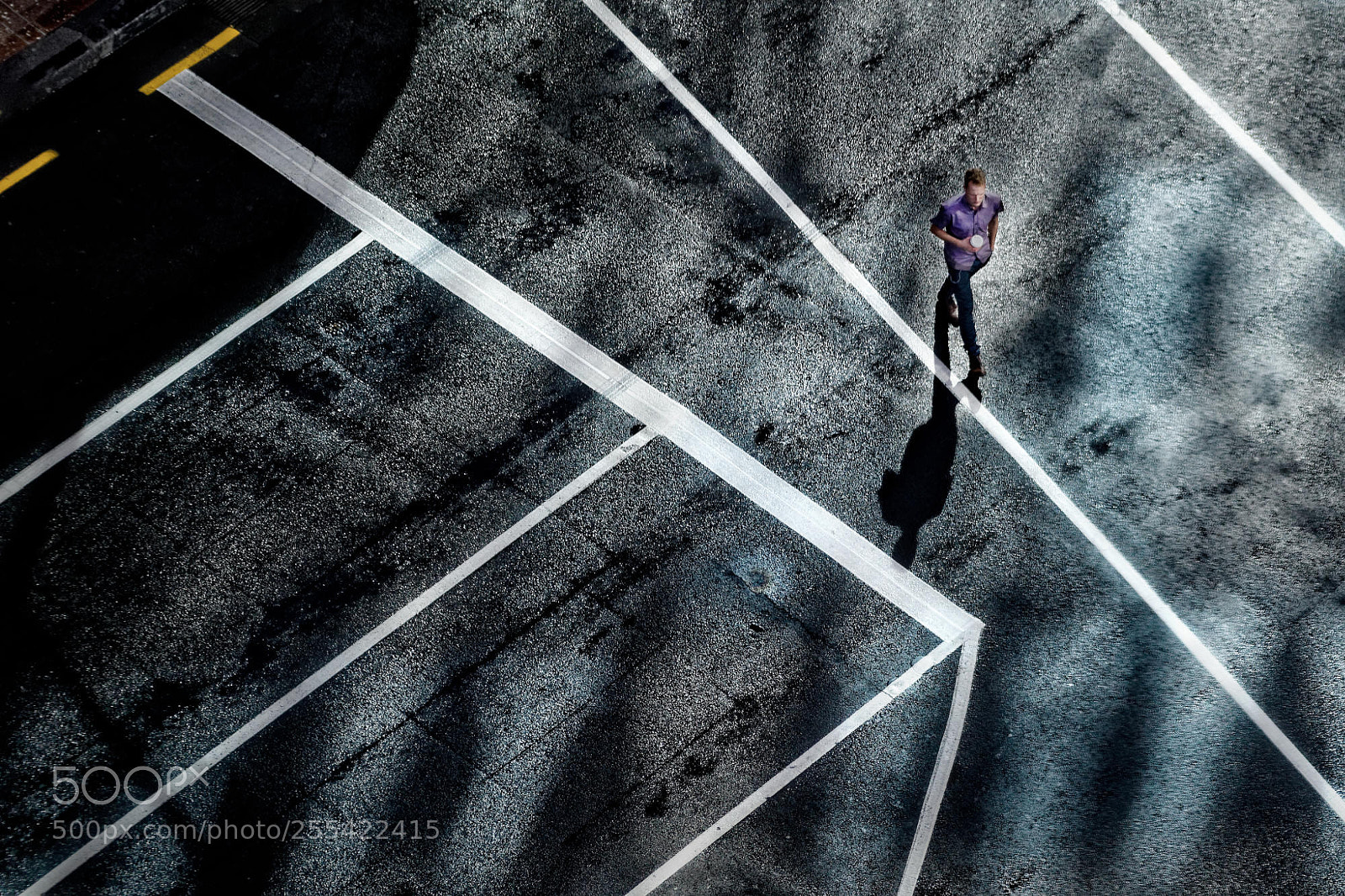 Nikon D5600 sample photo. Man in a purple photography