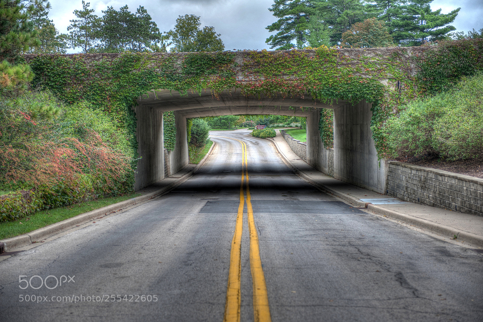Nikon D700 sample photo. Morton bridge photography
