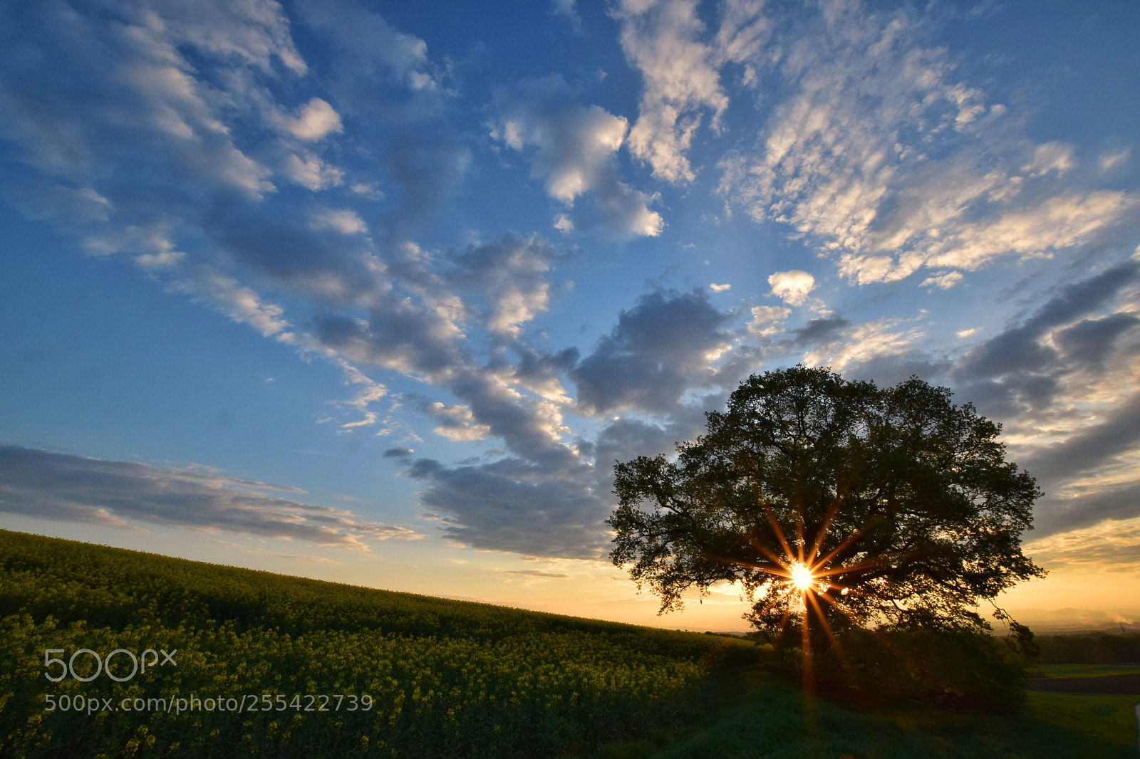 Nikon D5300 sample photo. A day begins photography