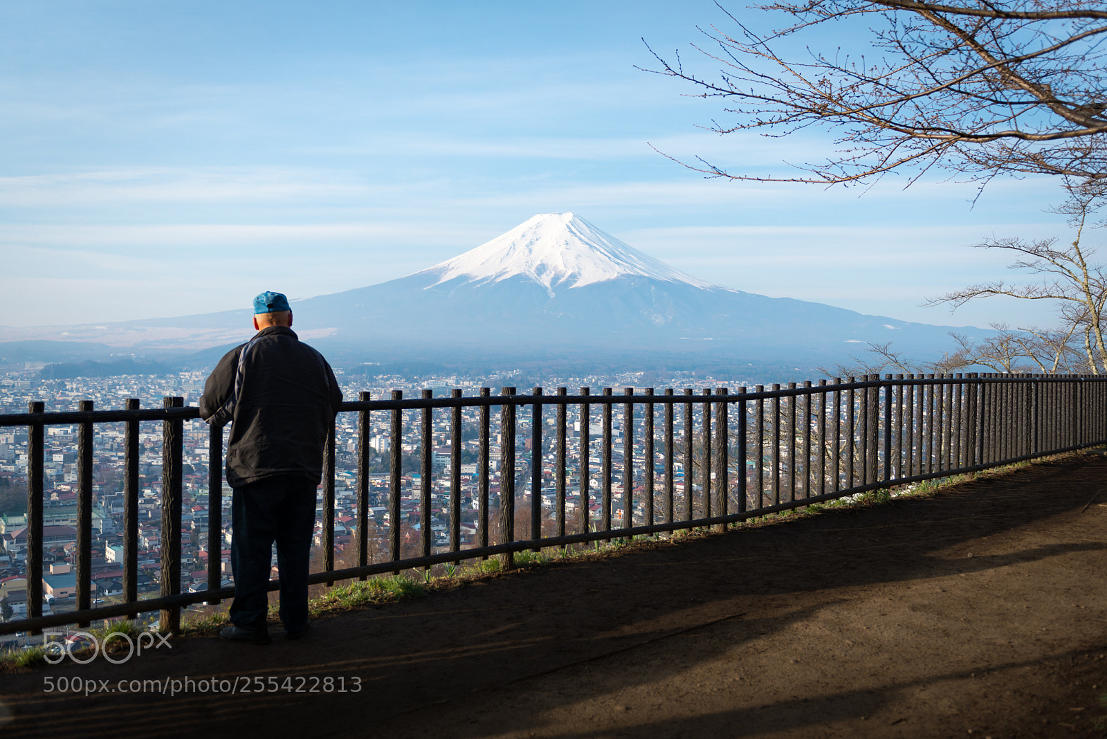 Nikon D800 sample photo. Majestic mt. fuji in photography