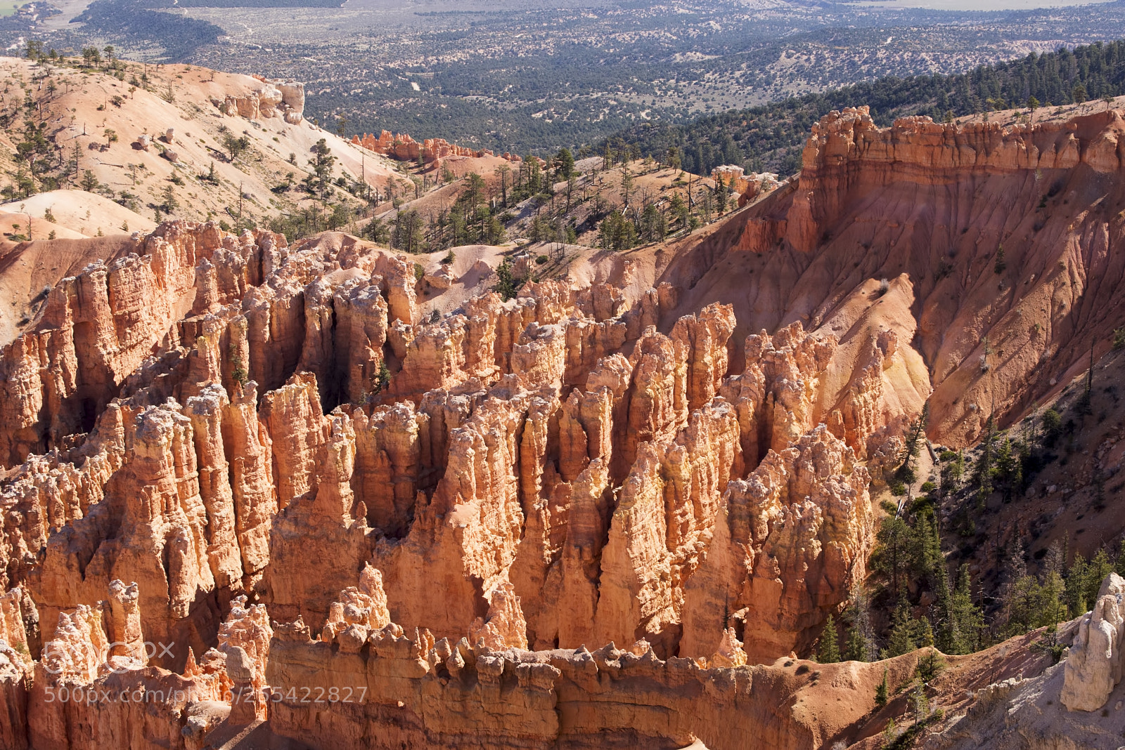 Nikon D600 sample photo. Edge pinnacles (1) photography