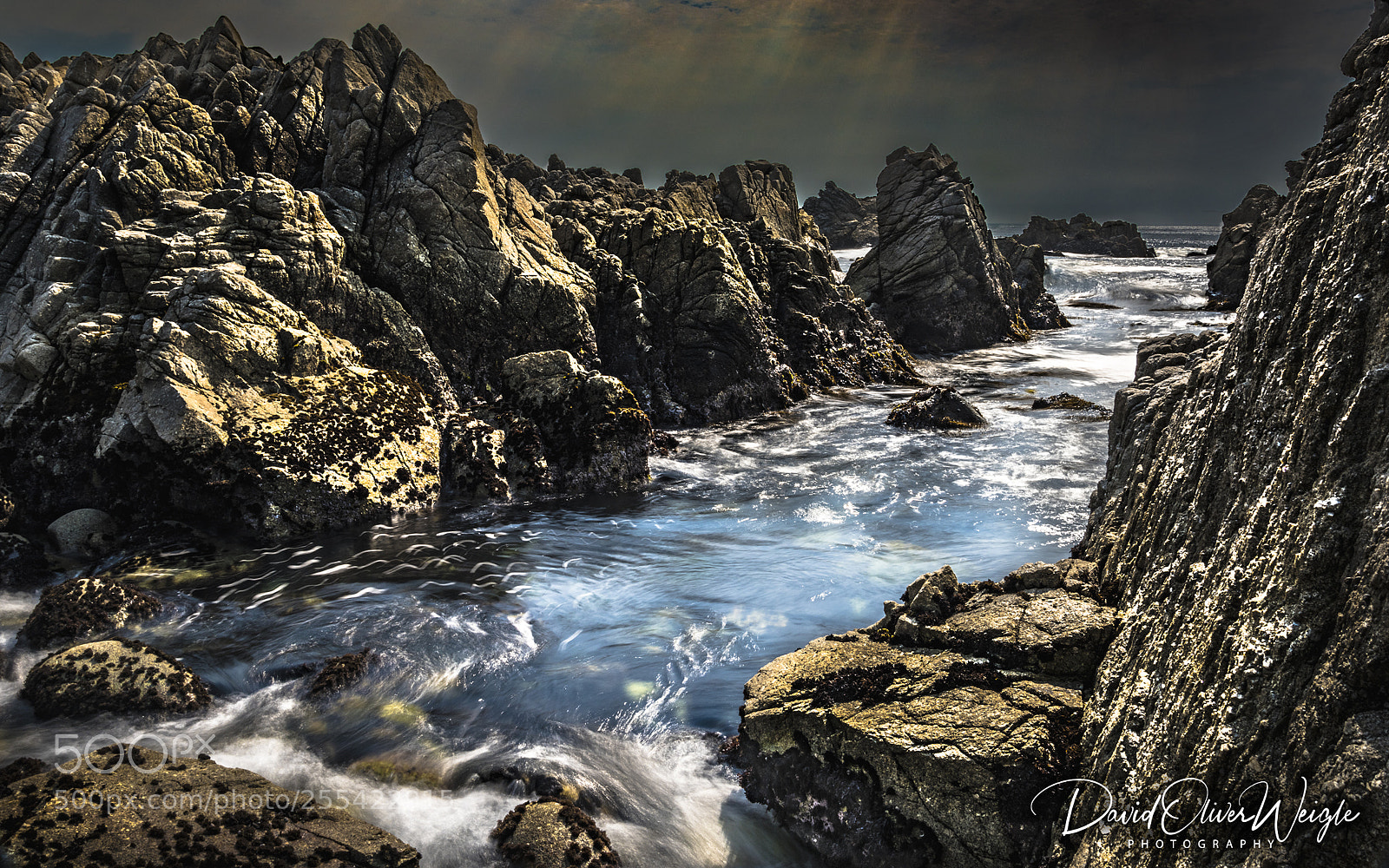 Nikon D810 sample photo. Pebble beach coastal photography