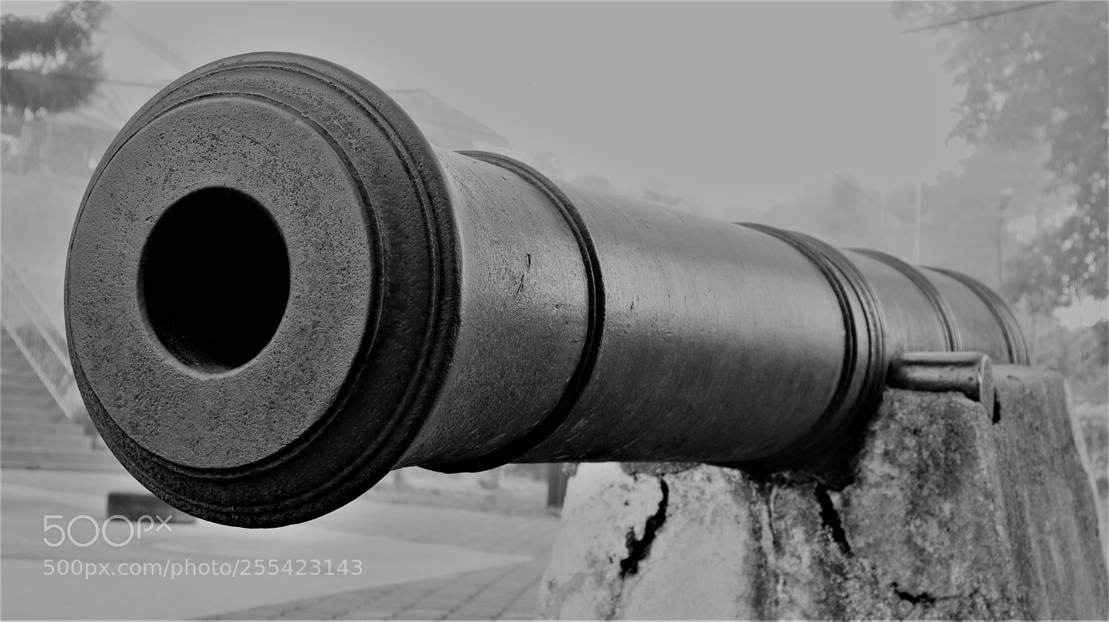 Canon EOS M50 (EOS Kiss M) sample photo. British cannon @ penang hill photography