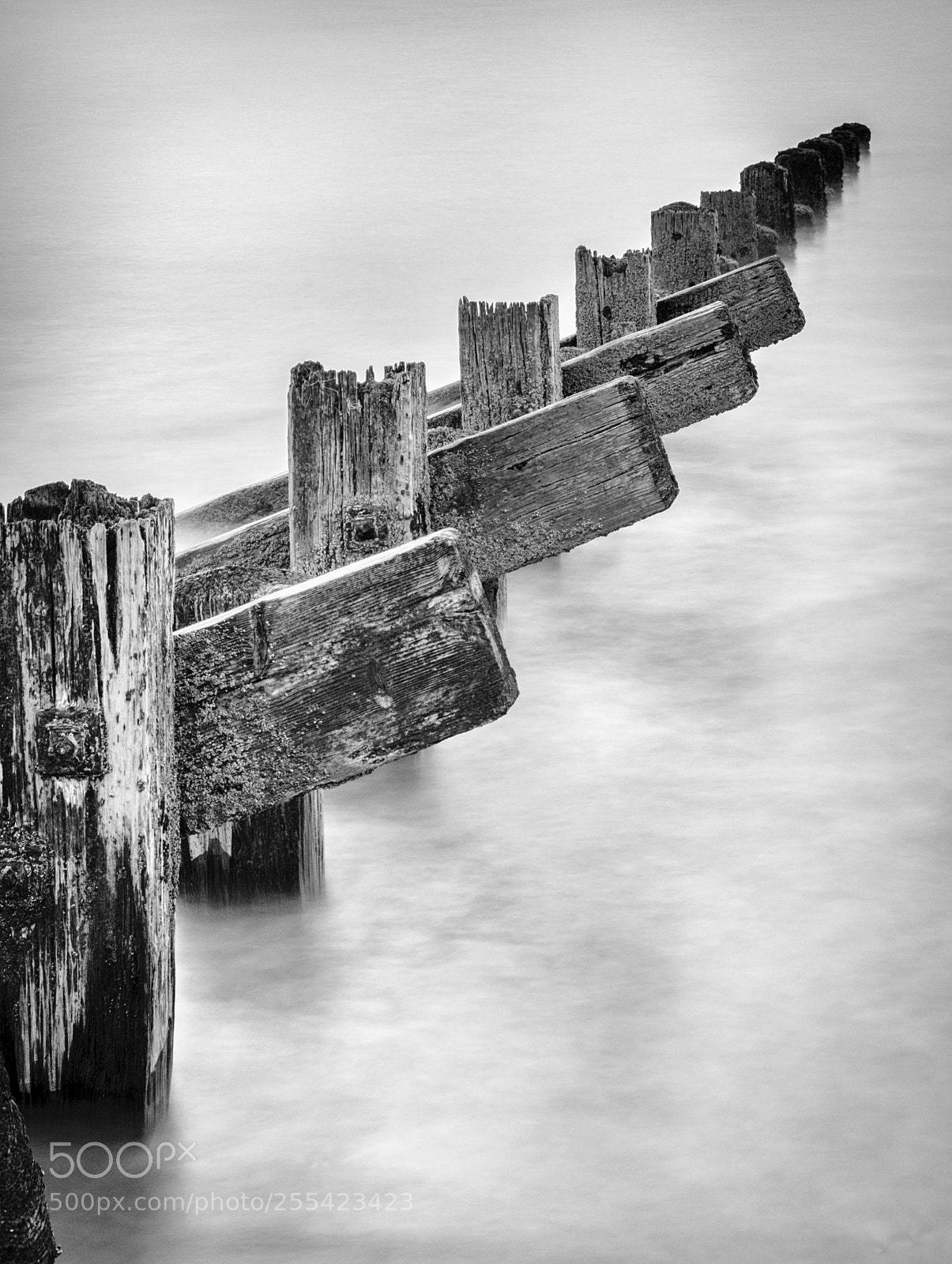 Canon EOS 5DS R sample photo. Crispy timber photography