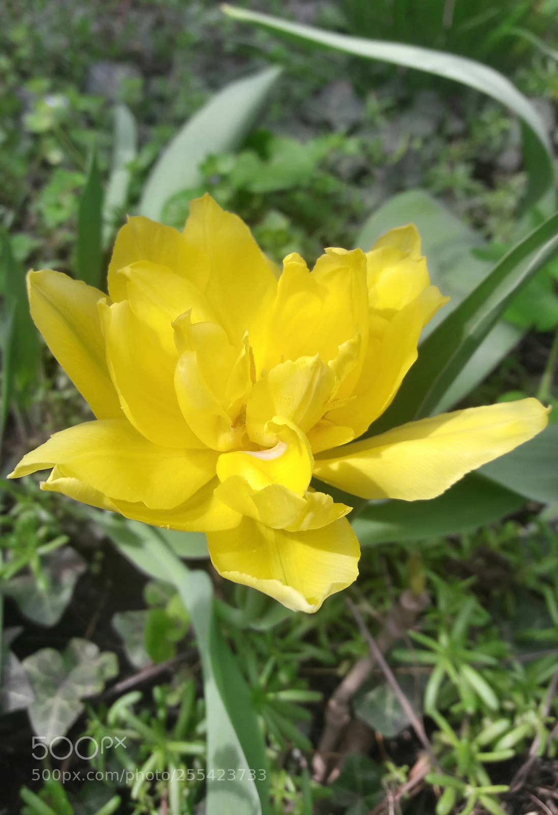 Samsung Galaxy J7 sample photo. Untitled photography