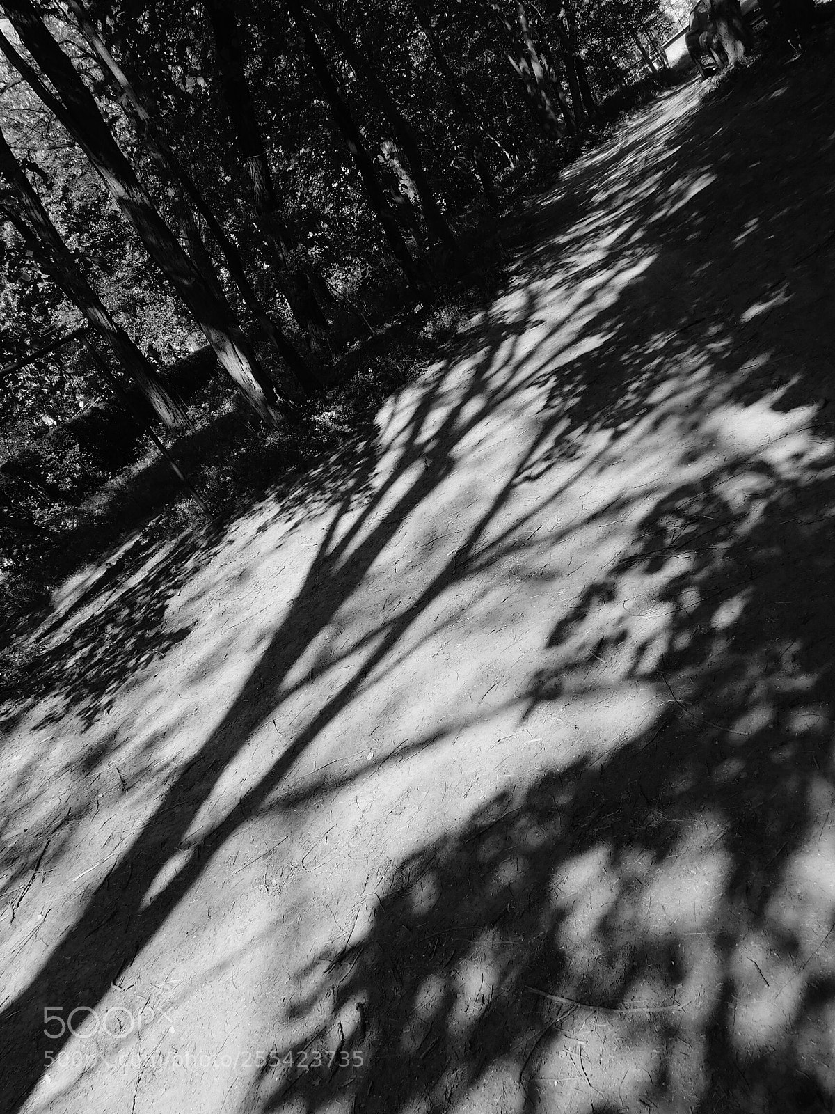 Nikon Coolpix B500 sample photo. Fluid photography