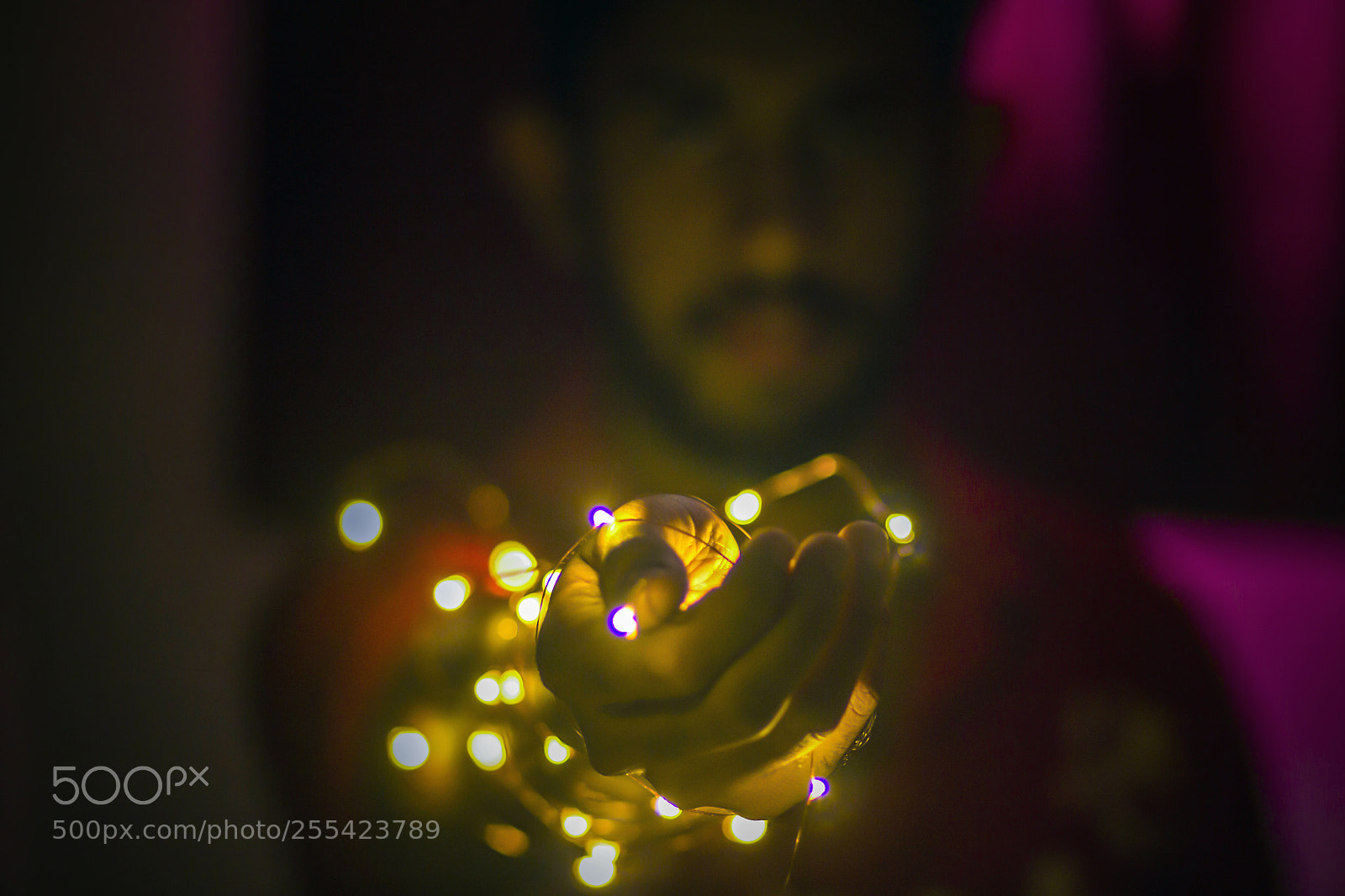 Canon EOS 60D sample photo. Blurred vision photography